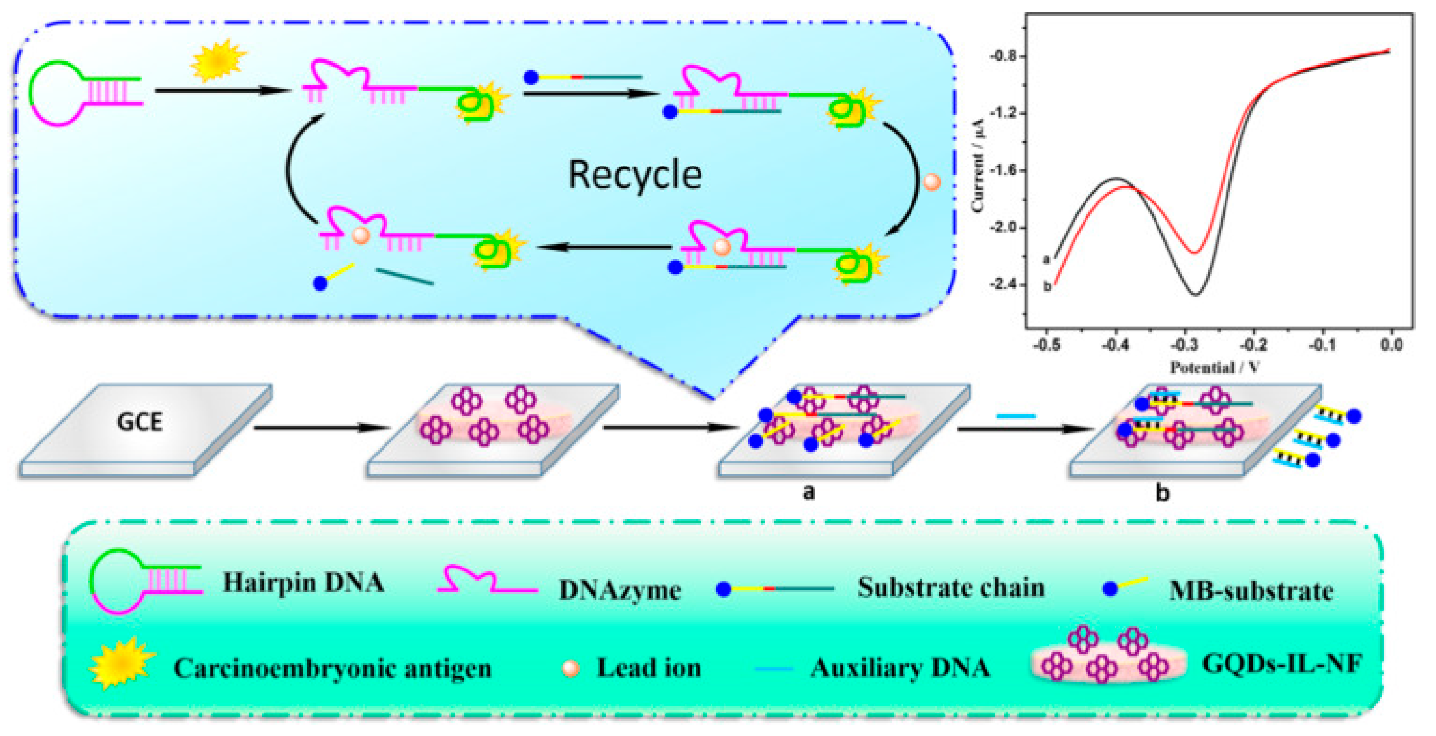 Cancers 13 03194 g006 Cancers 13 03194 g006