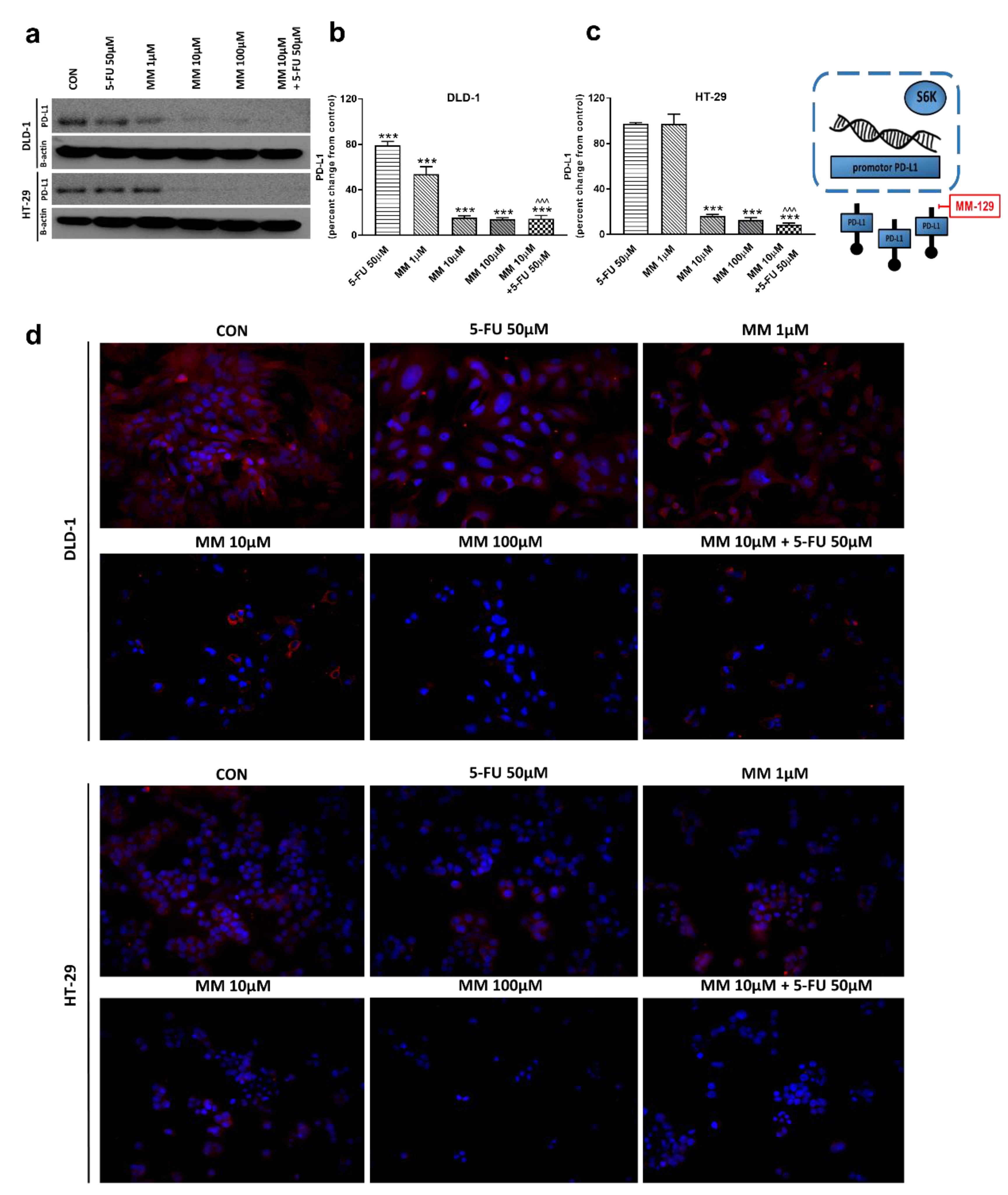Cancers 13 03203 g009