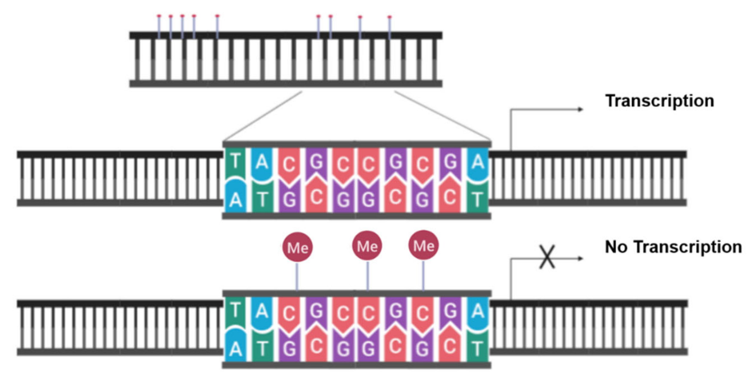 Cancers 13 03210 g005