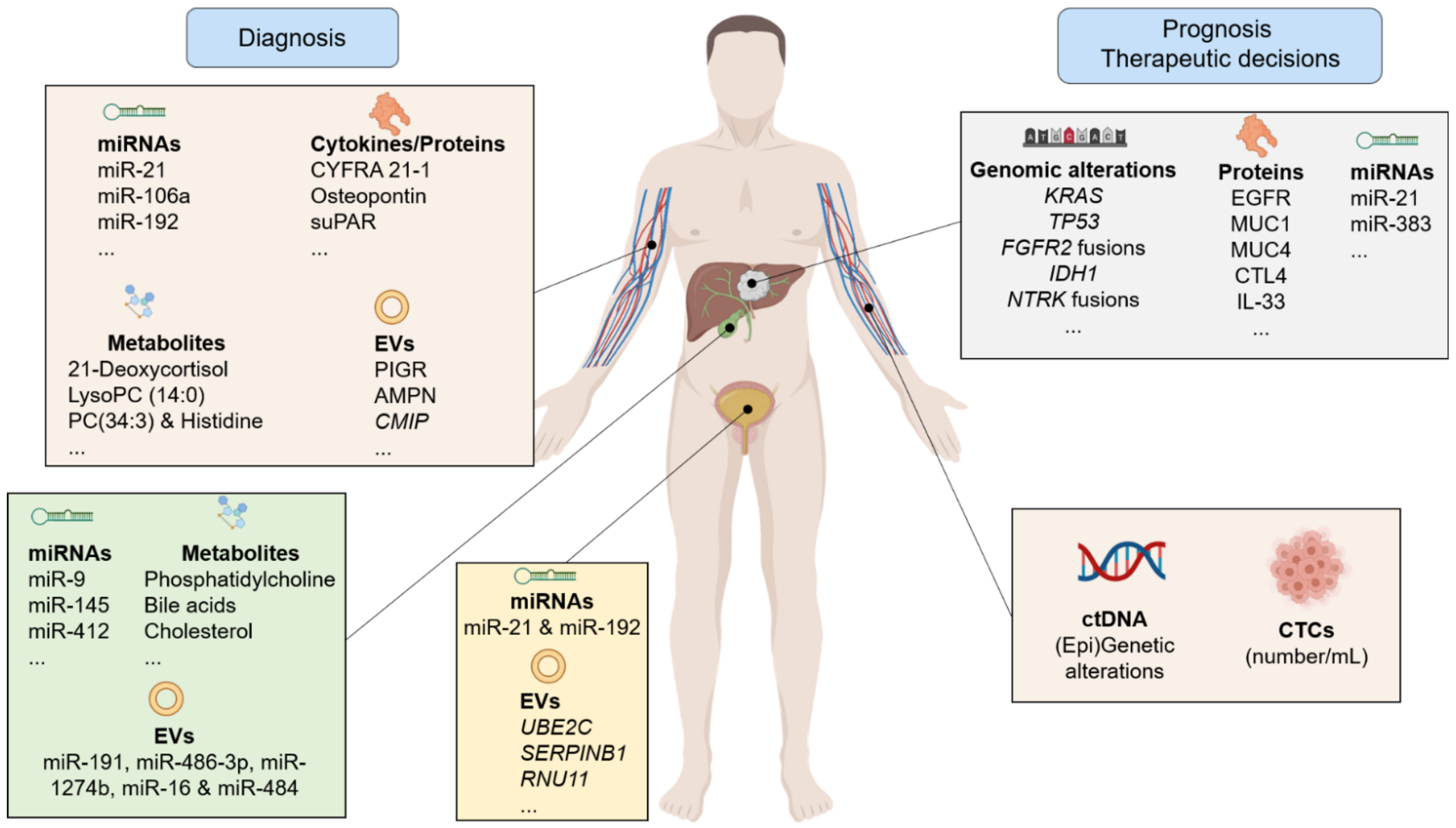 Cancers | Free Full-Text | Next-Generation Biomarkers for Cholangiocarcinoma