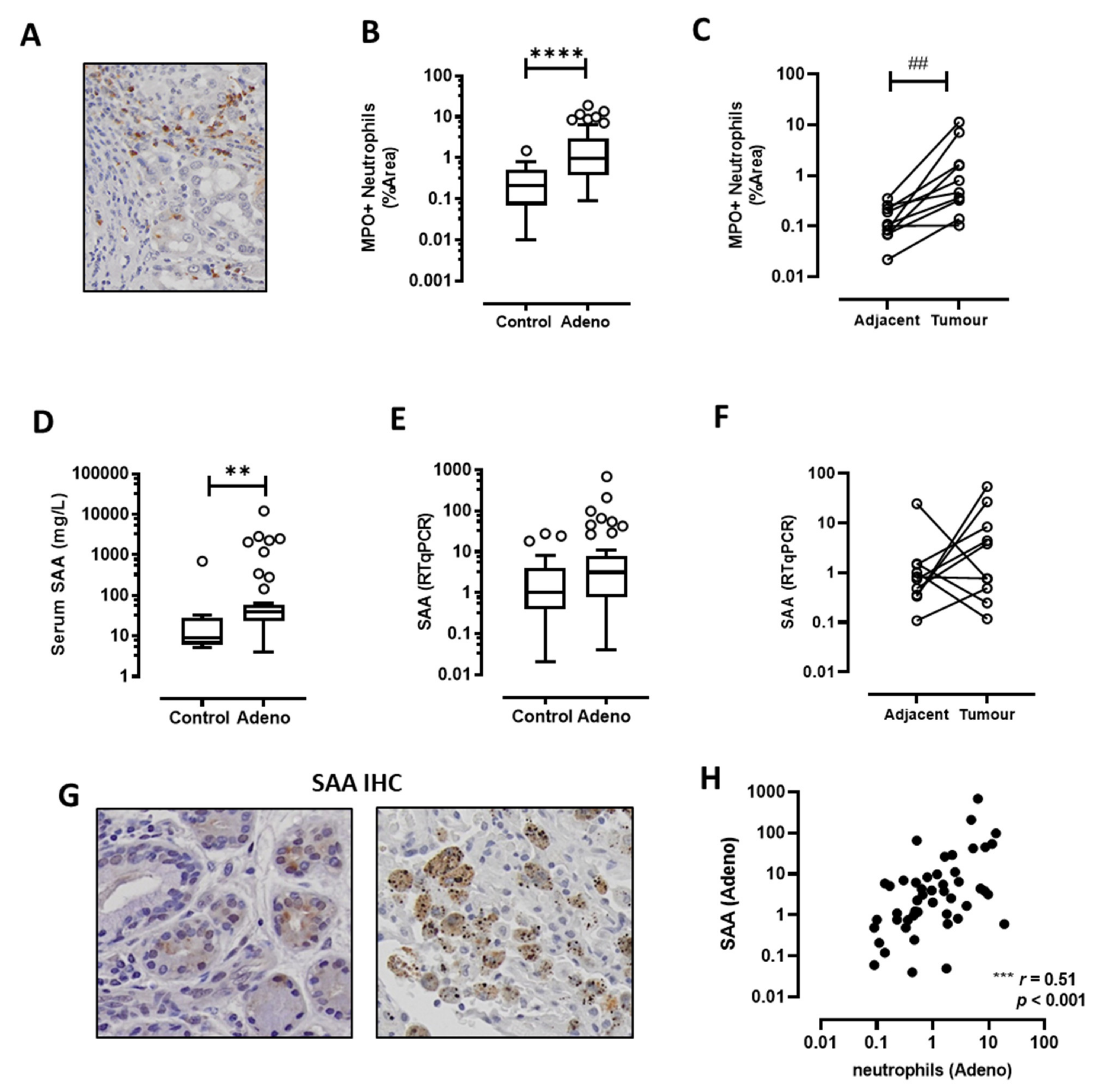 Cancers 13 03224 g001