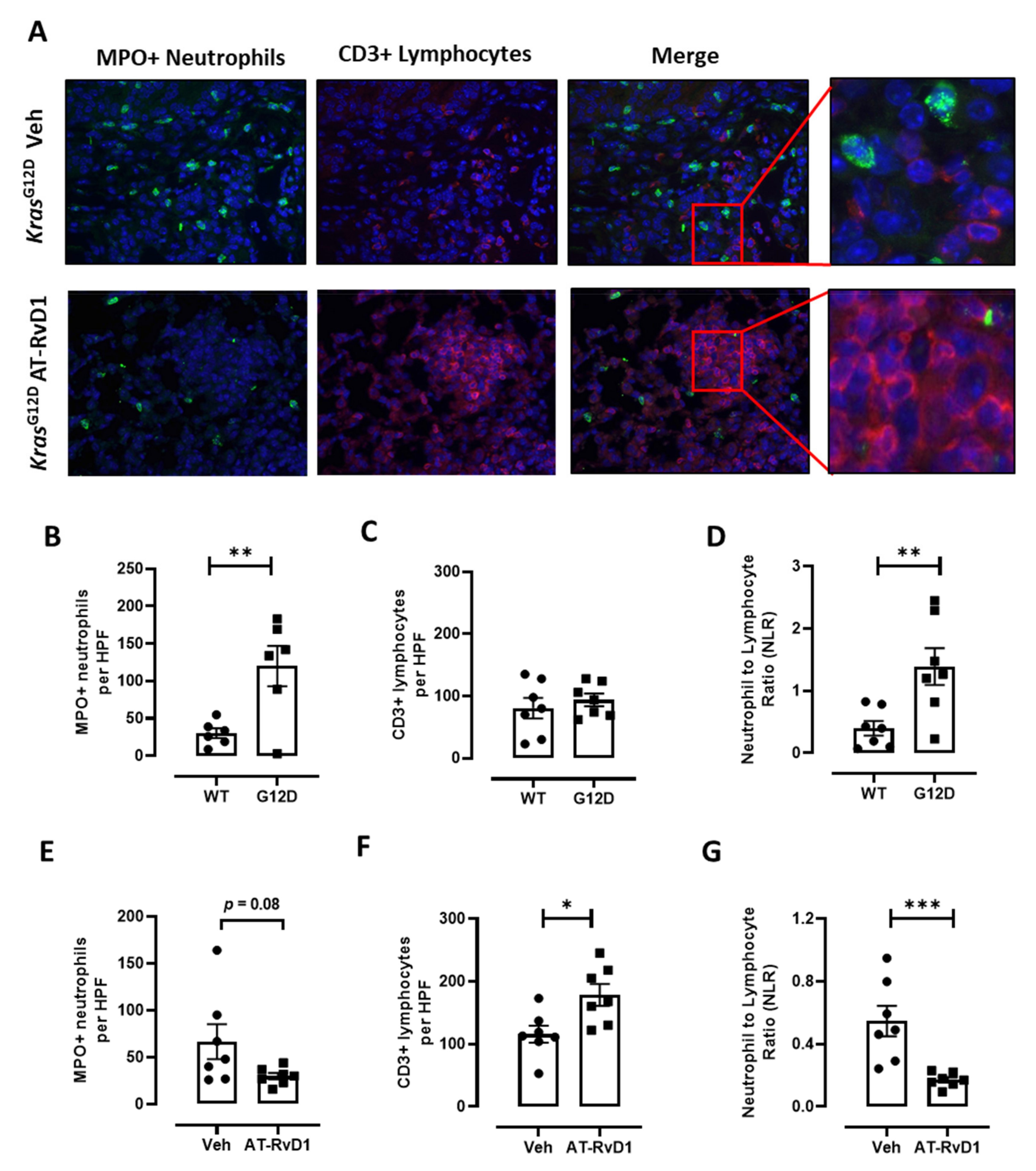 Cancers 13 03224 g005