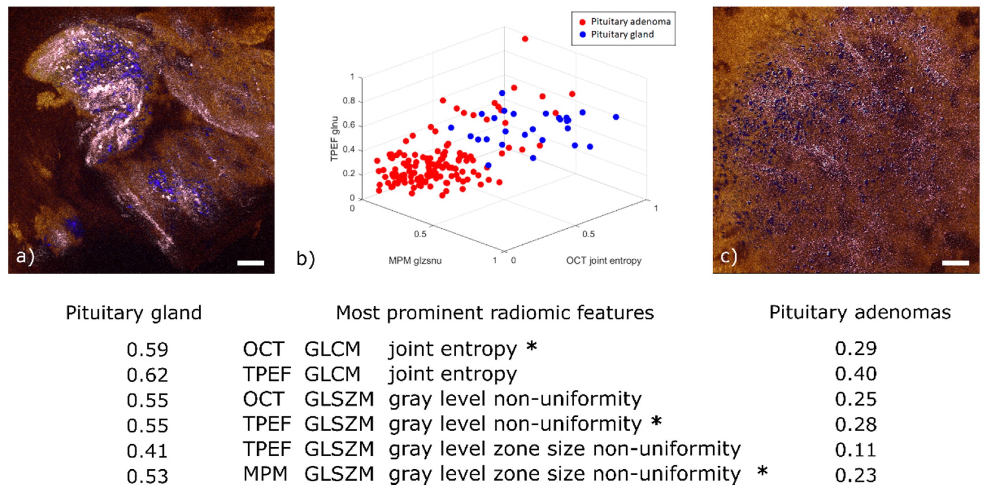 Cancers 13 03234 g006