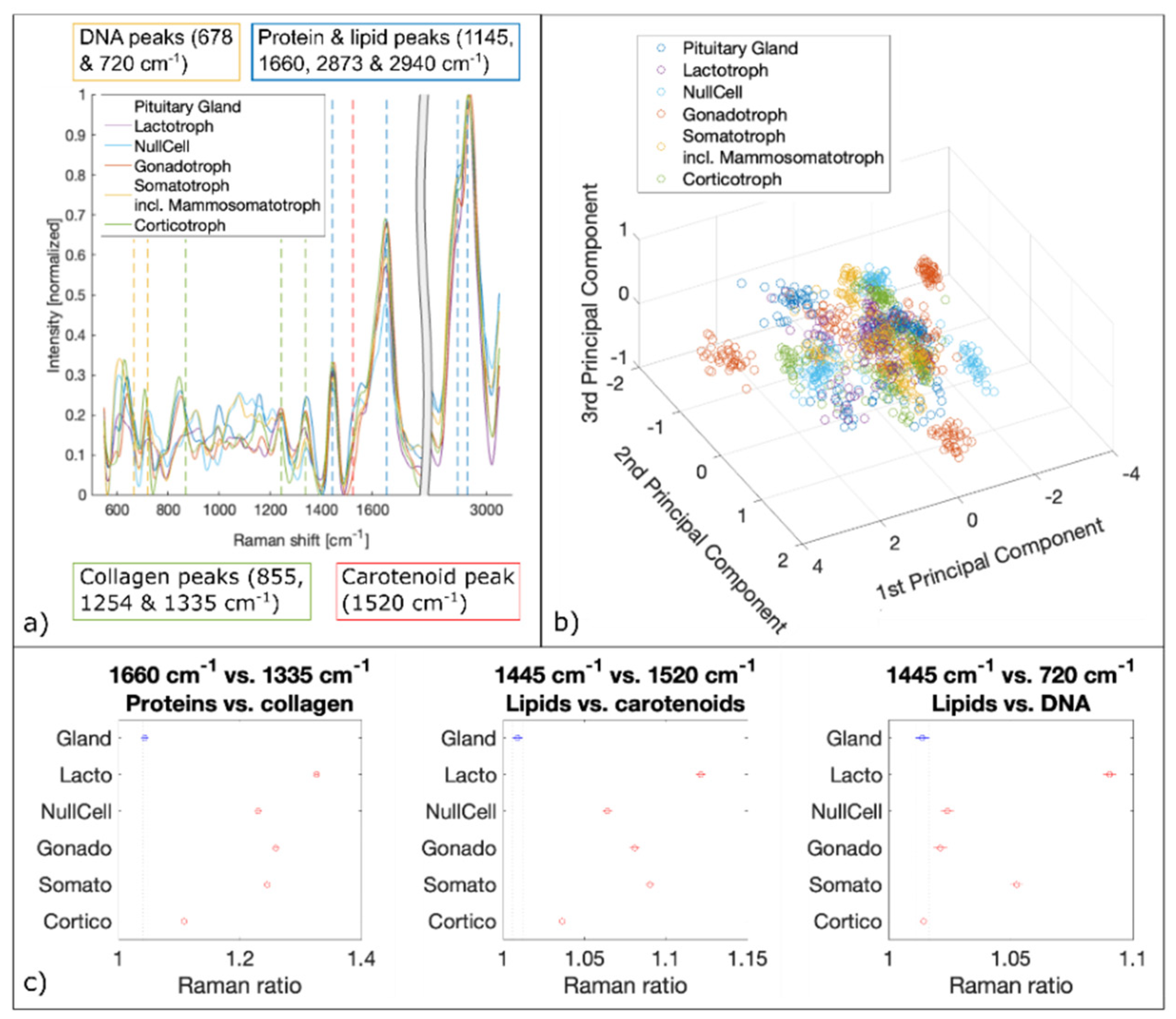 Cancers 13 03234 g007