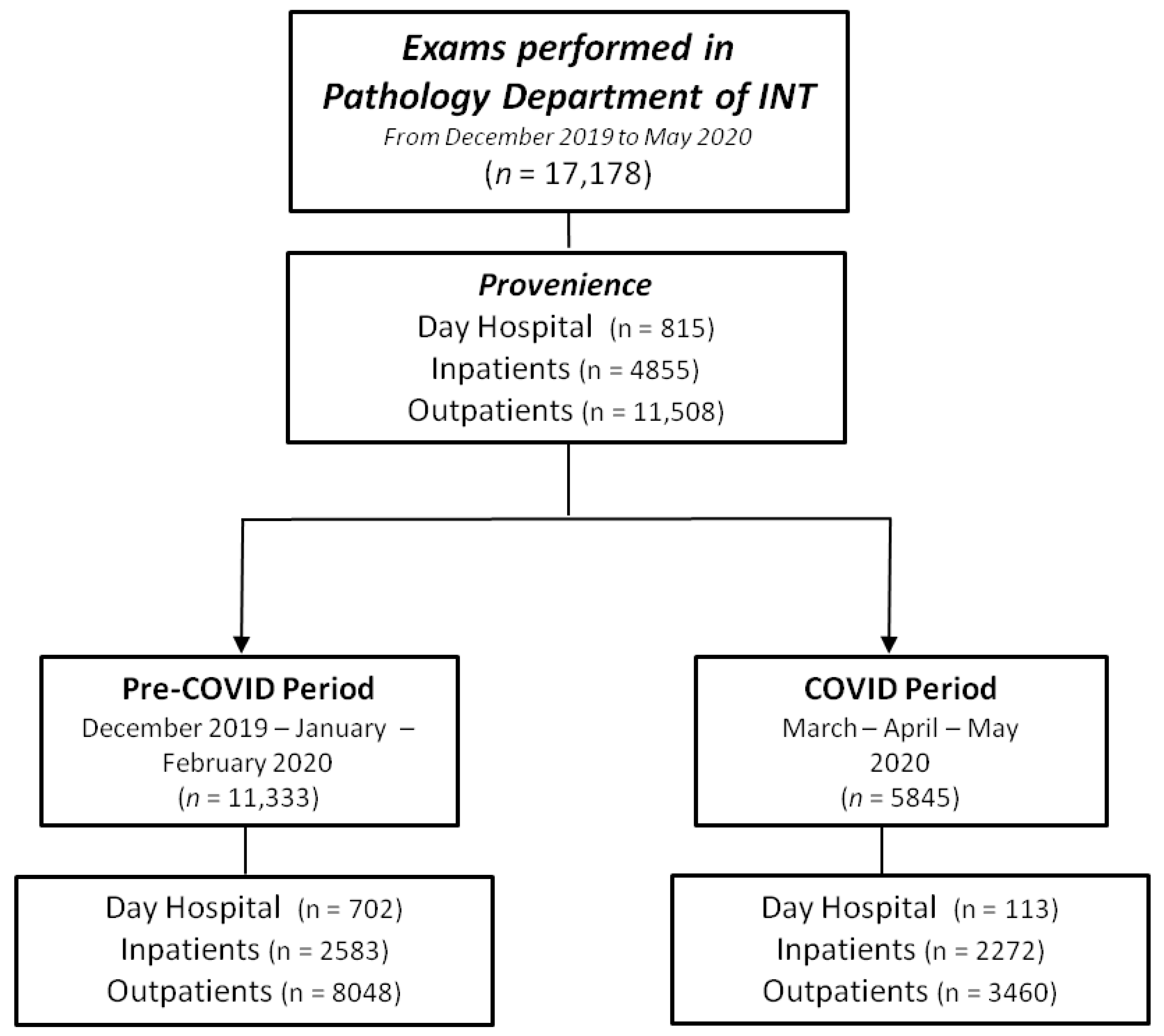 Cancers 13 03283 g001