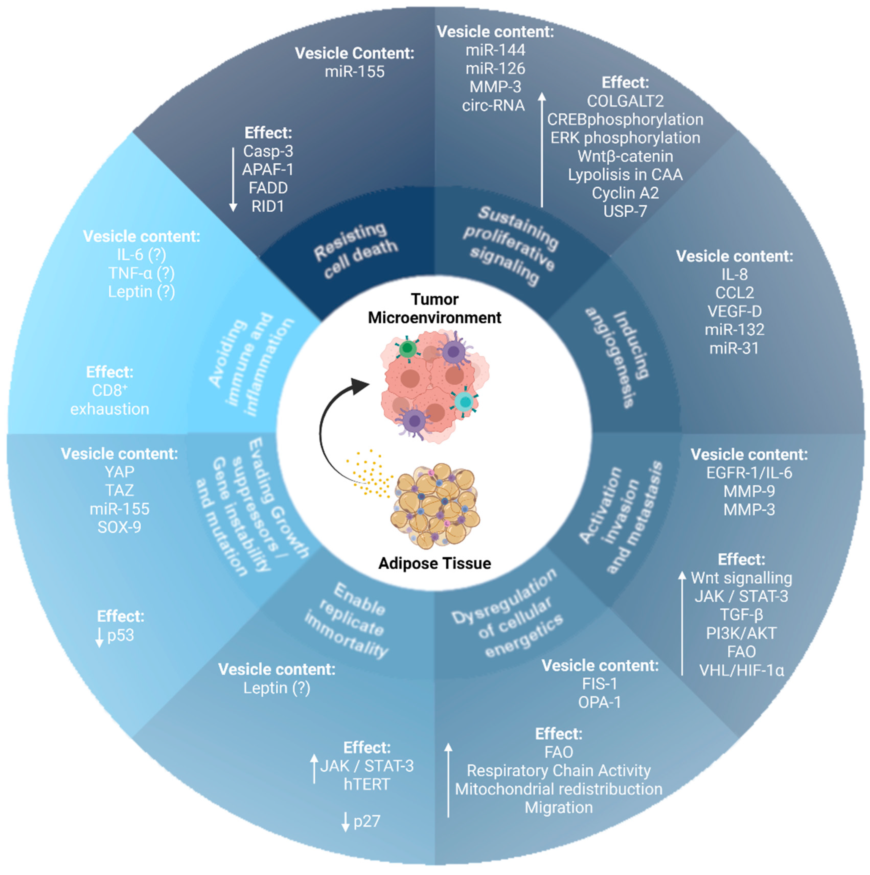 Cancers | Free Full-Text | Adipose Tissue-Derived Extracellular Vesicles  and the Tumor Microenvironment: Revisiting the Hallmarks of Cancer
