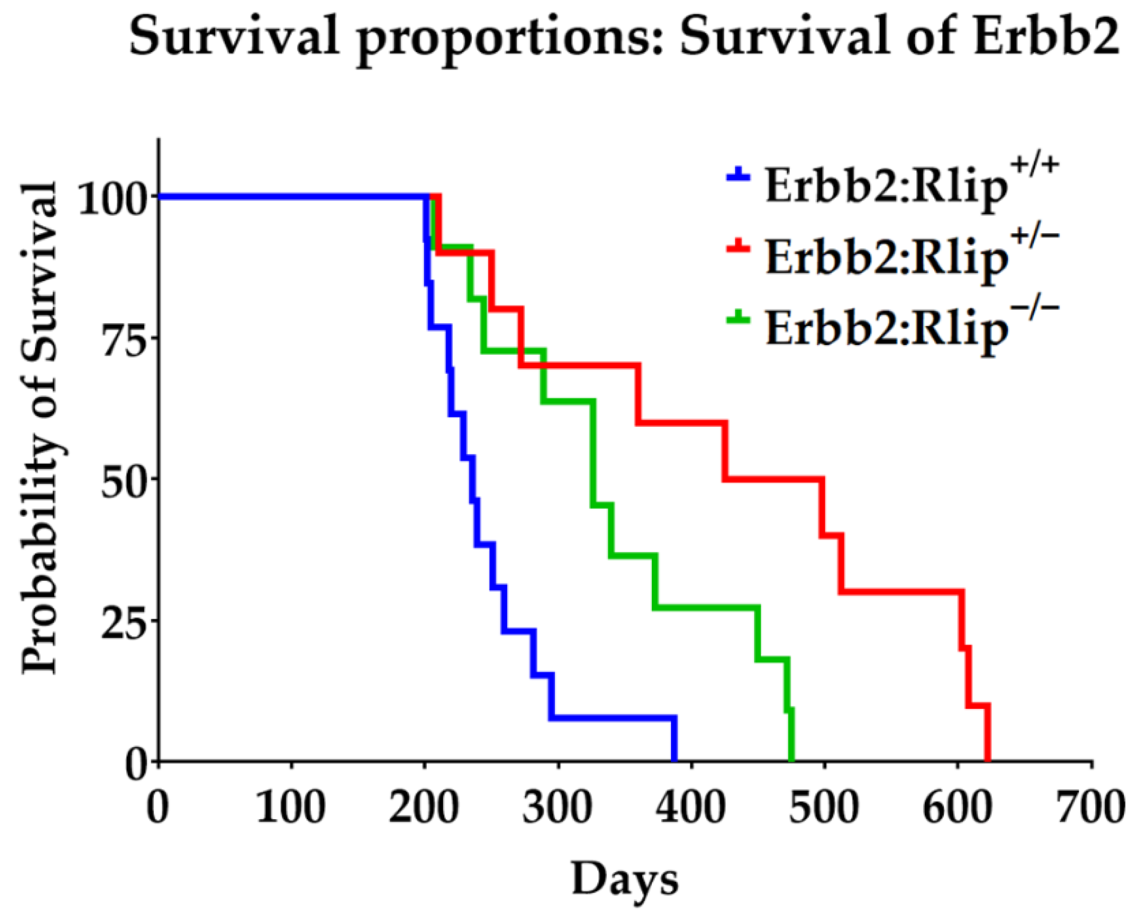 Cancers 13 03329 g002 Cancers 13 03329 g002