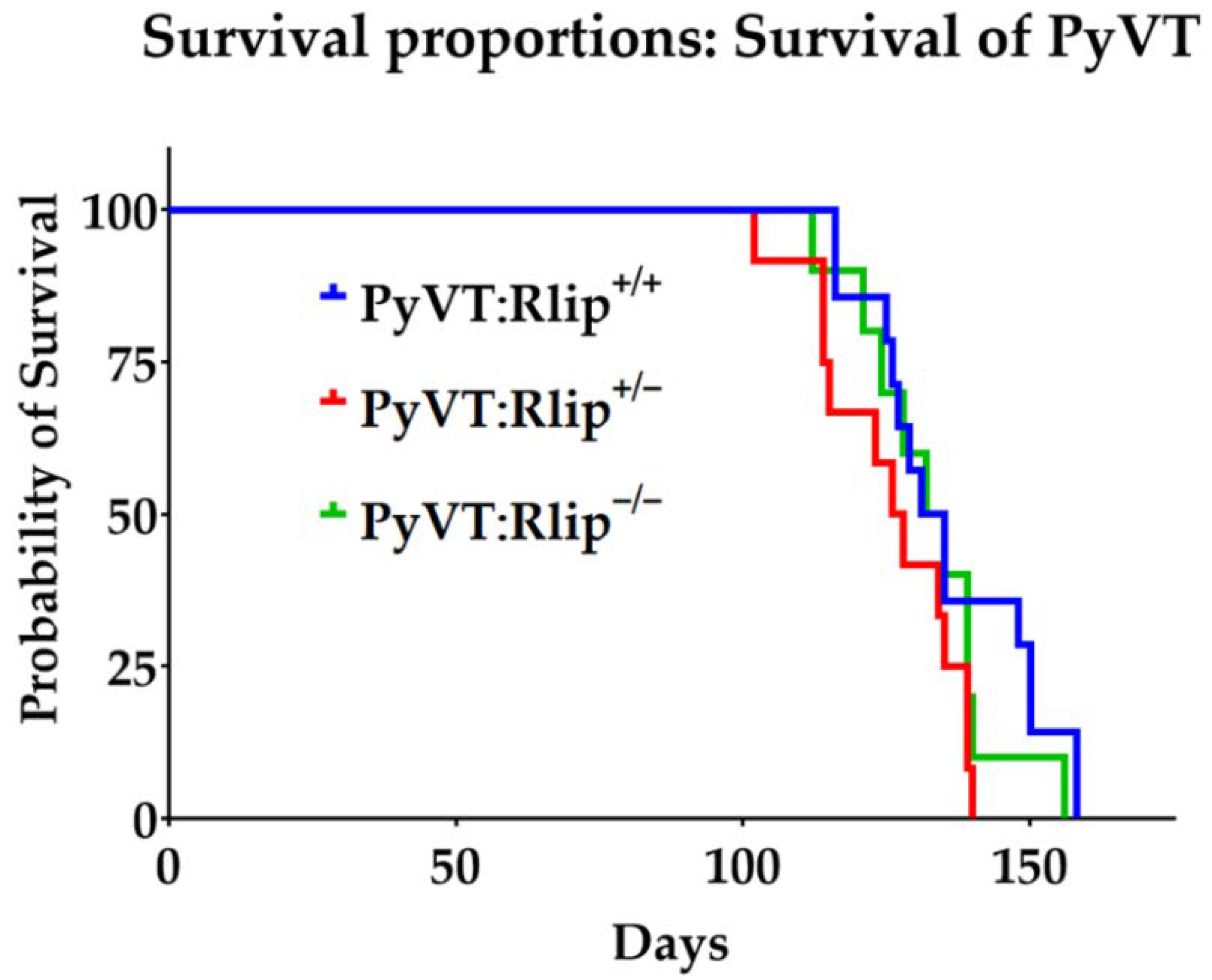 Cancers 13 03329 g003 Cancers 13 03329 g003