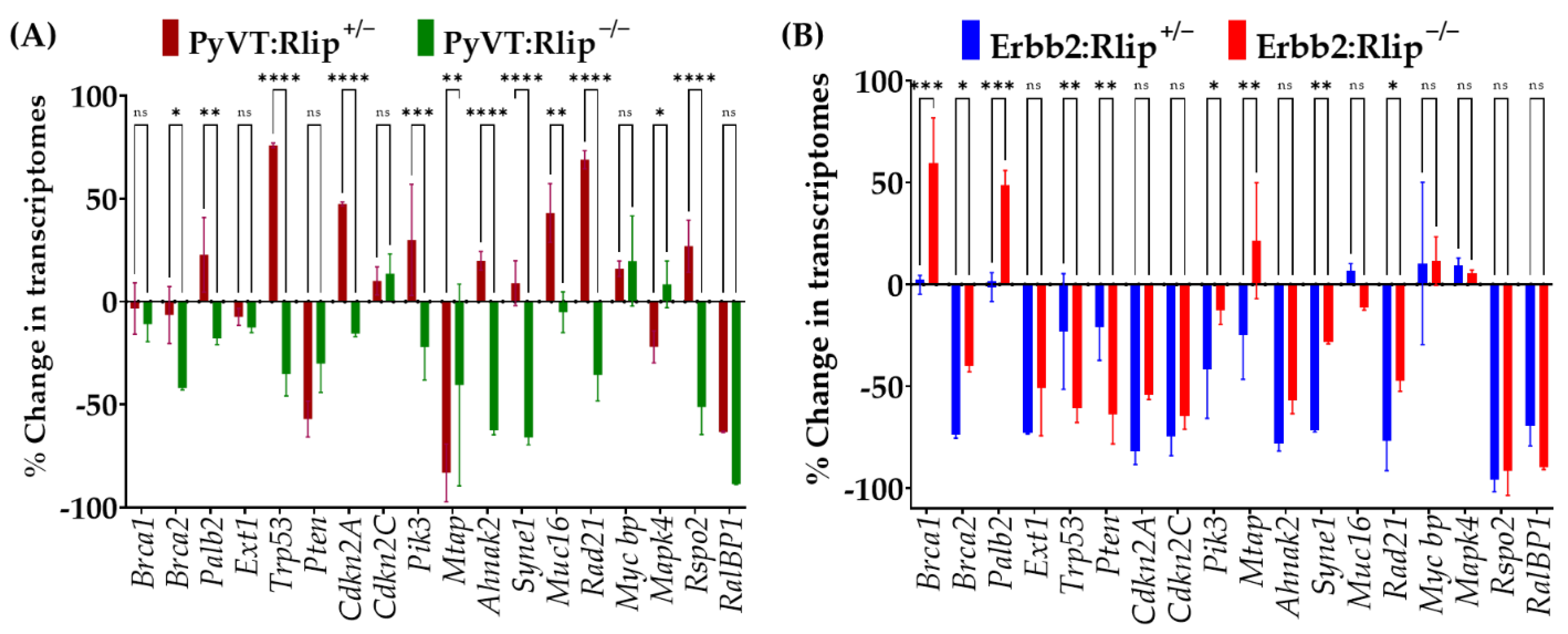 Cancers 13 03329 g007 Cancers 13 03329 g007