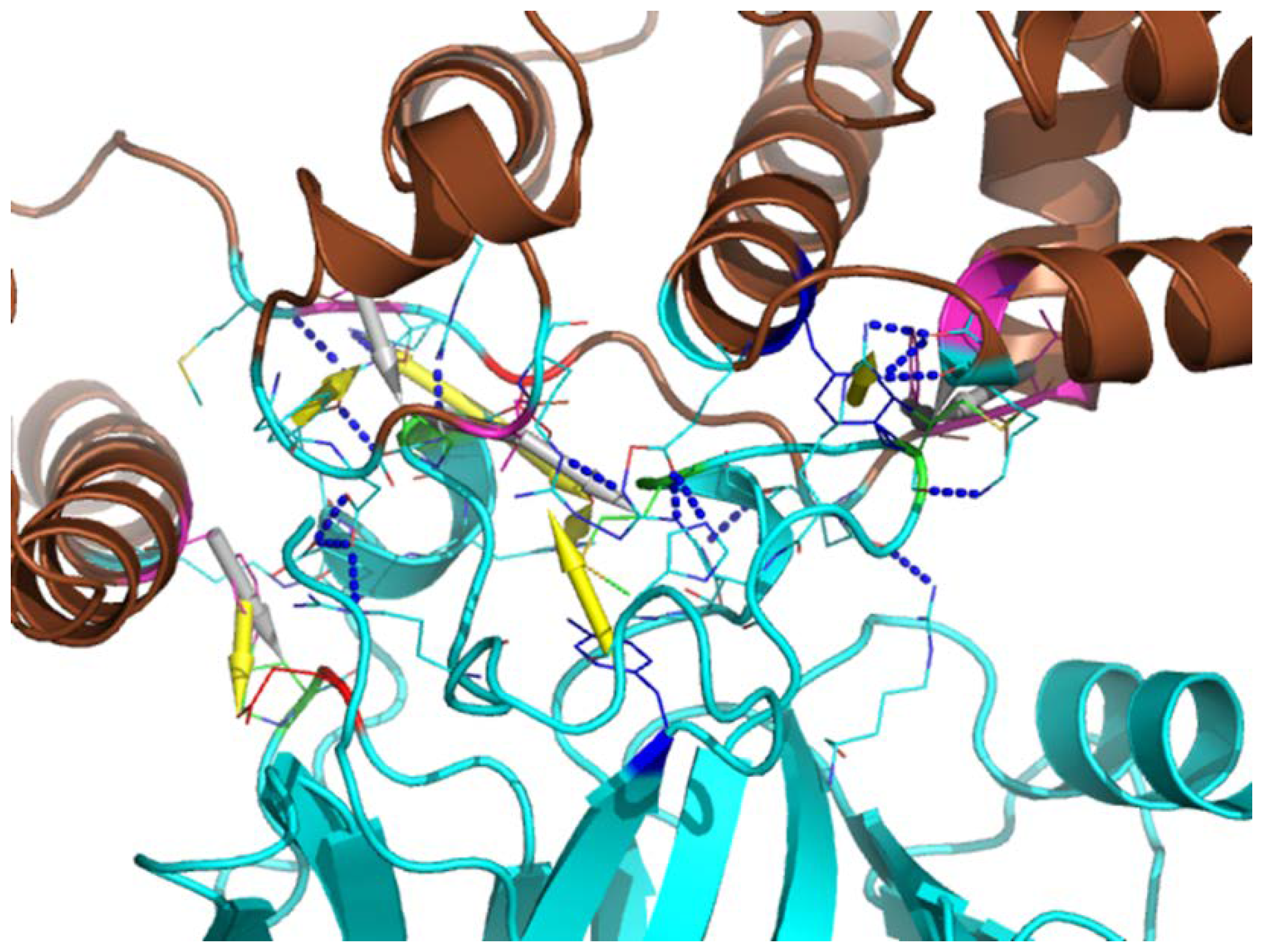 Cancers 13 03329 g009 Cancers 13 03329 g009