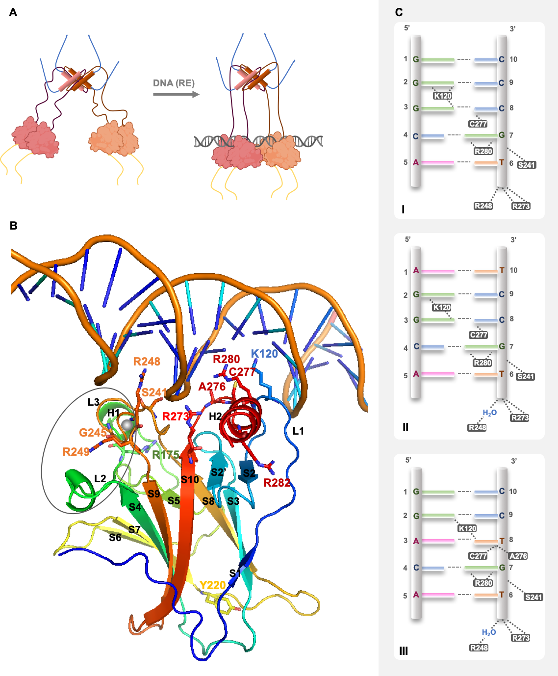 Cancers 13 03344 g003