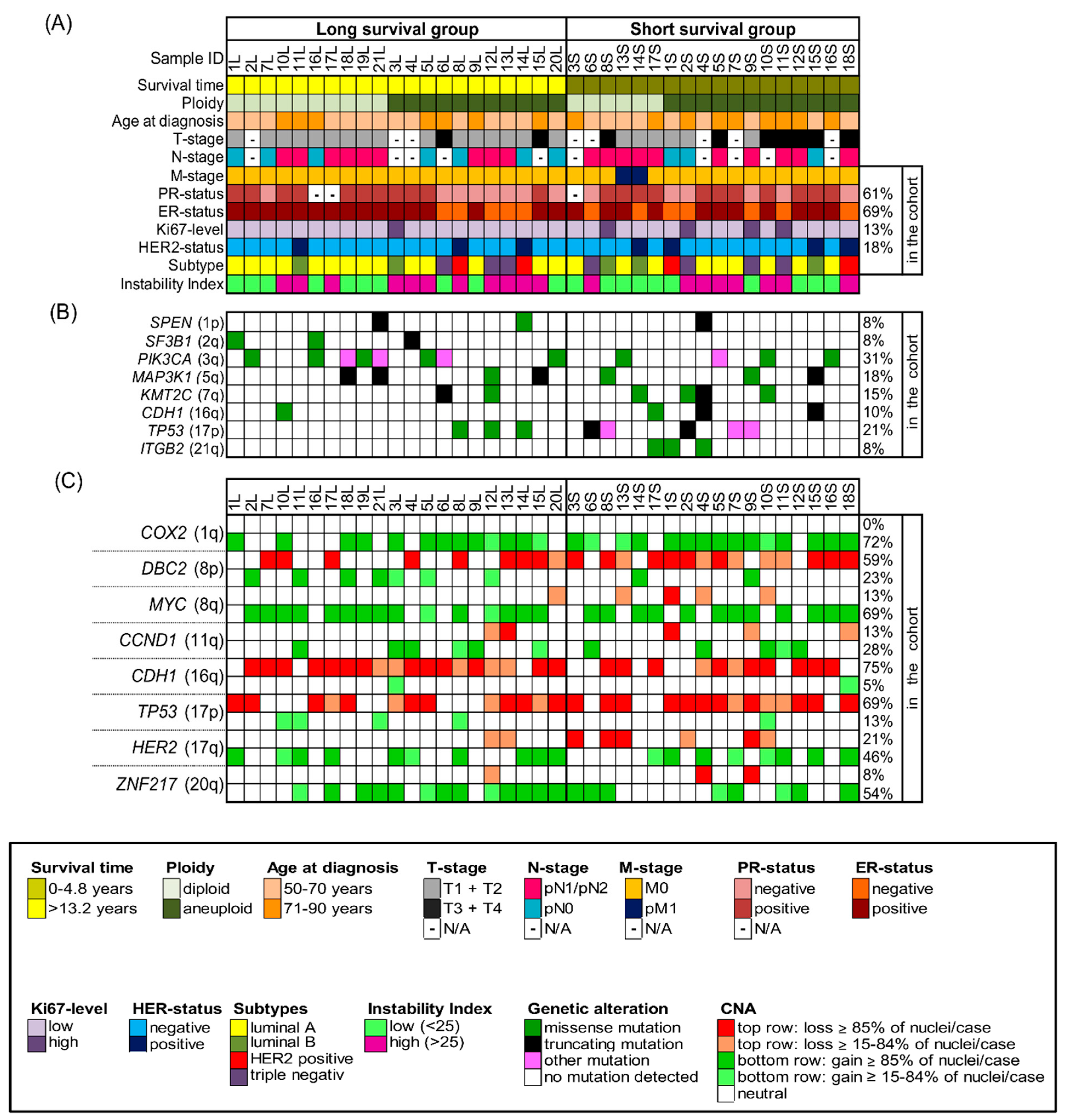 Cancers 13 03366 g001 Cancers 13 03366 g001