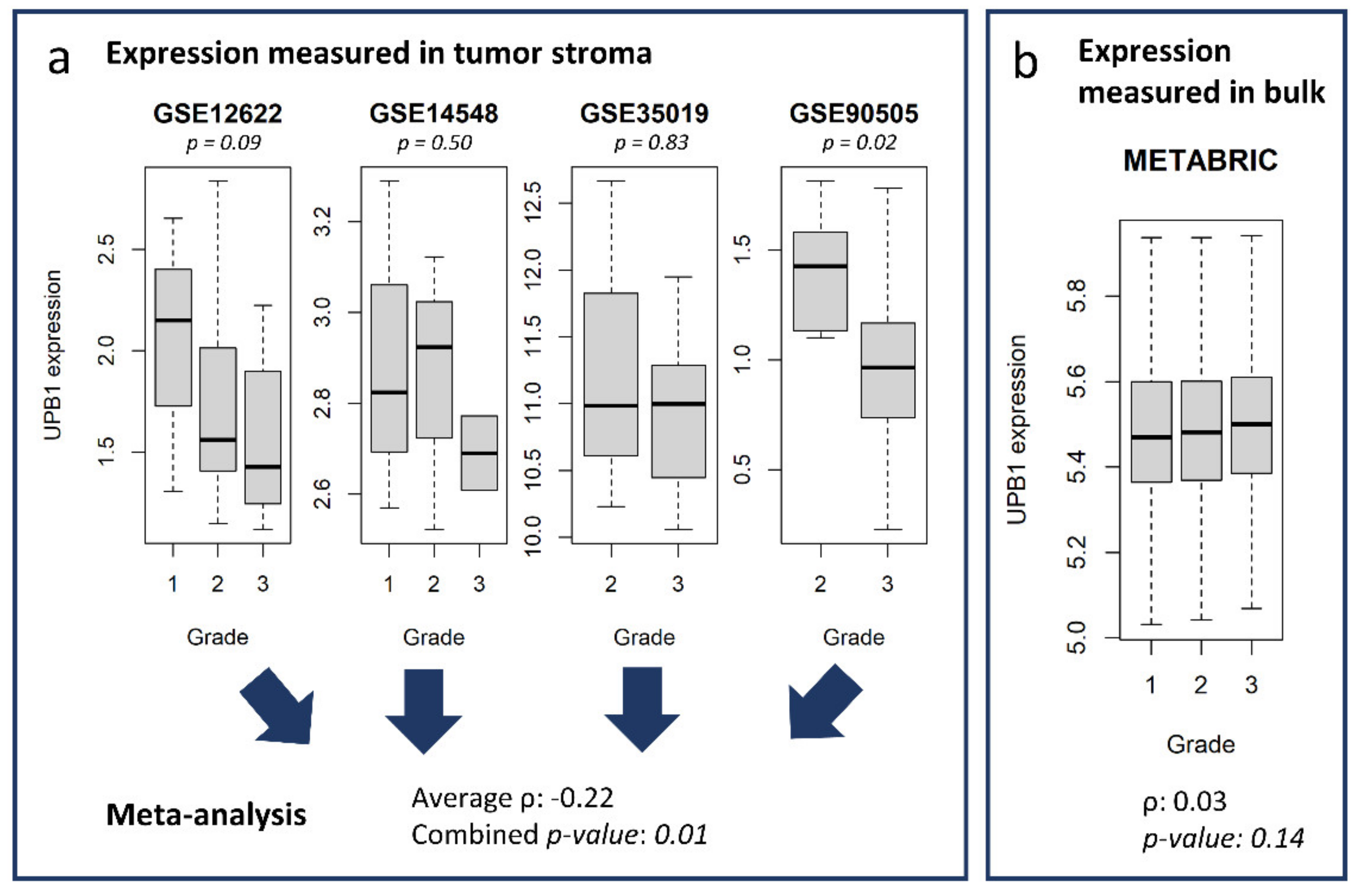 Cancers 13 03371 g006 Cancers 13 03371 g006