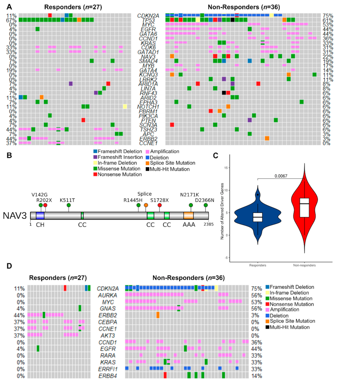 Cancers 13 03394 g005