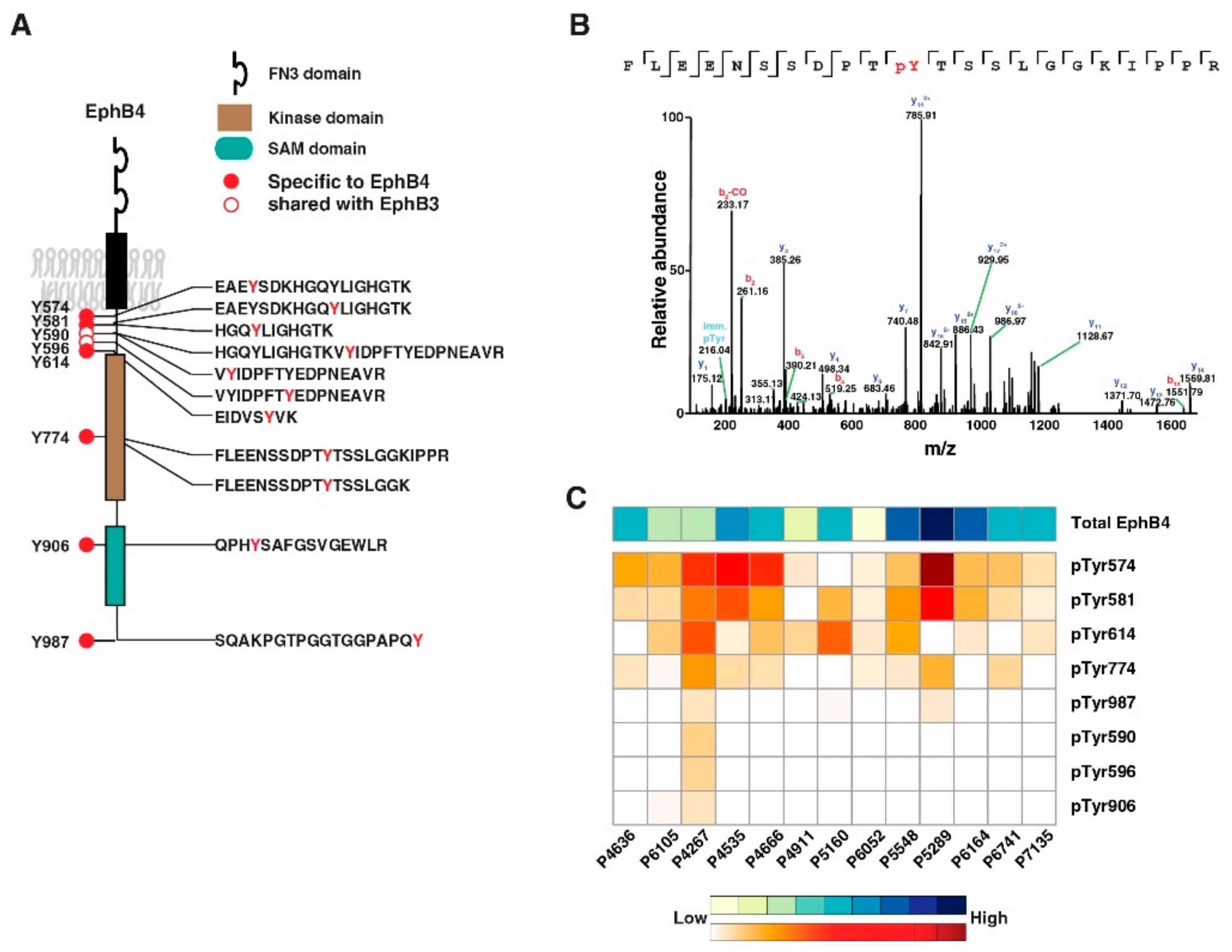 Cancers 13 03404 g005