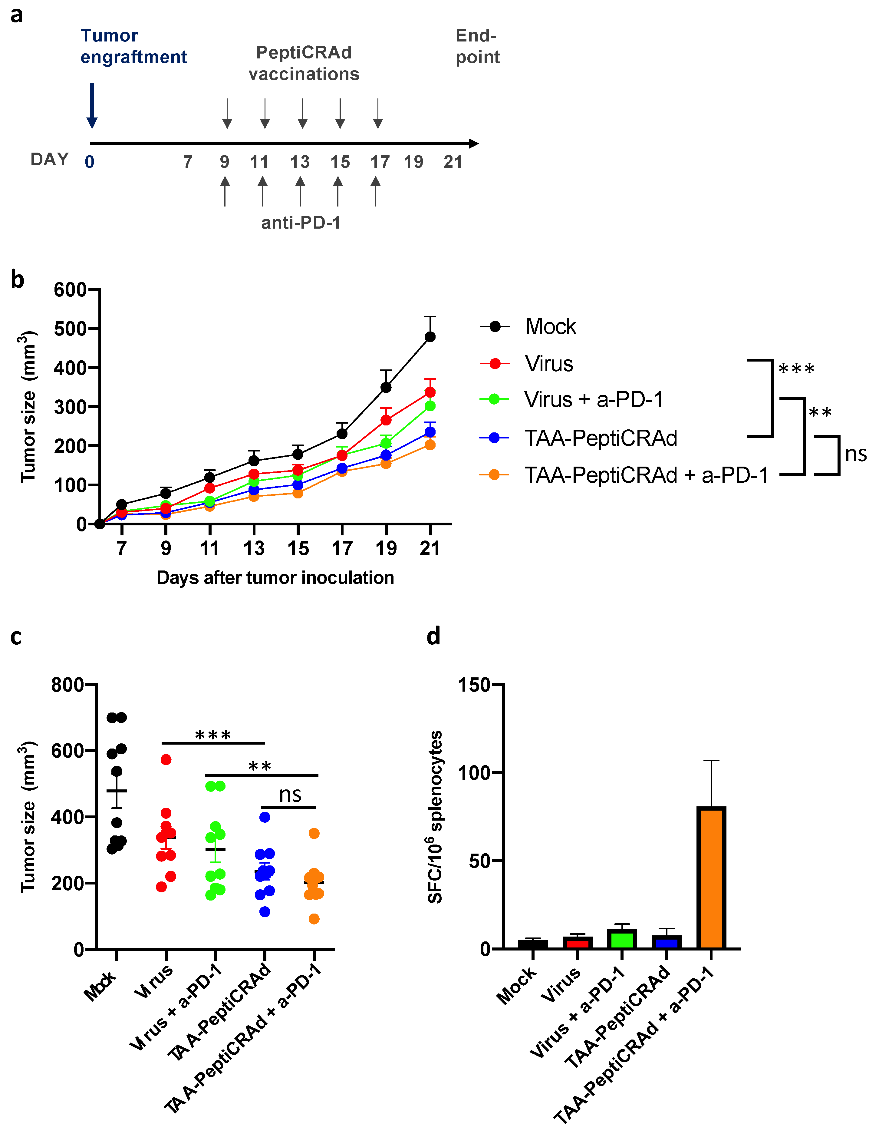 Cancers 13 03408 g004