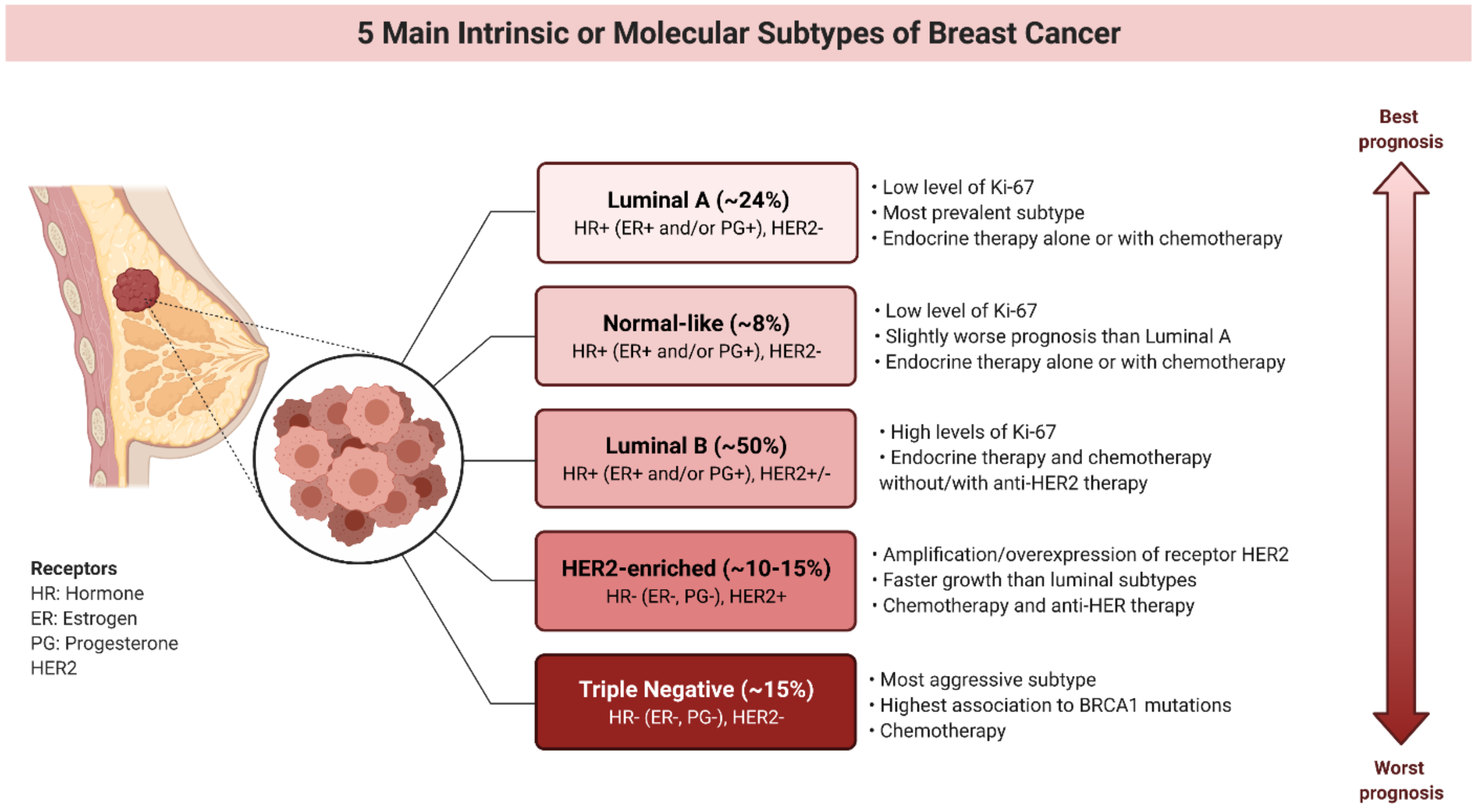 Cancers | Free Full-Text | Valproic Acid and Breast Cancer: State of the  Art in 2021