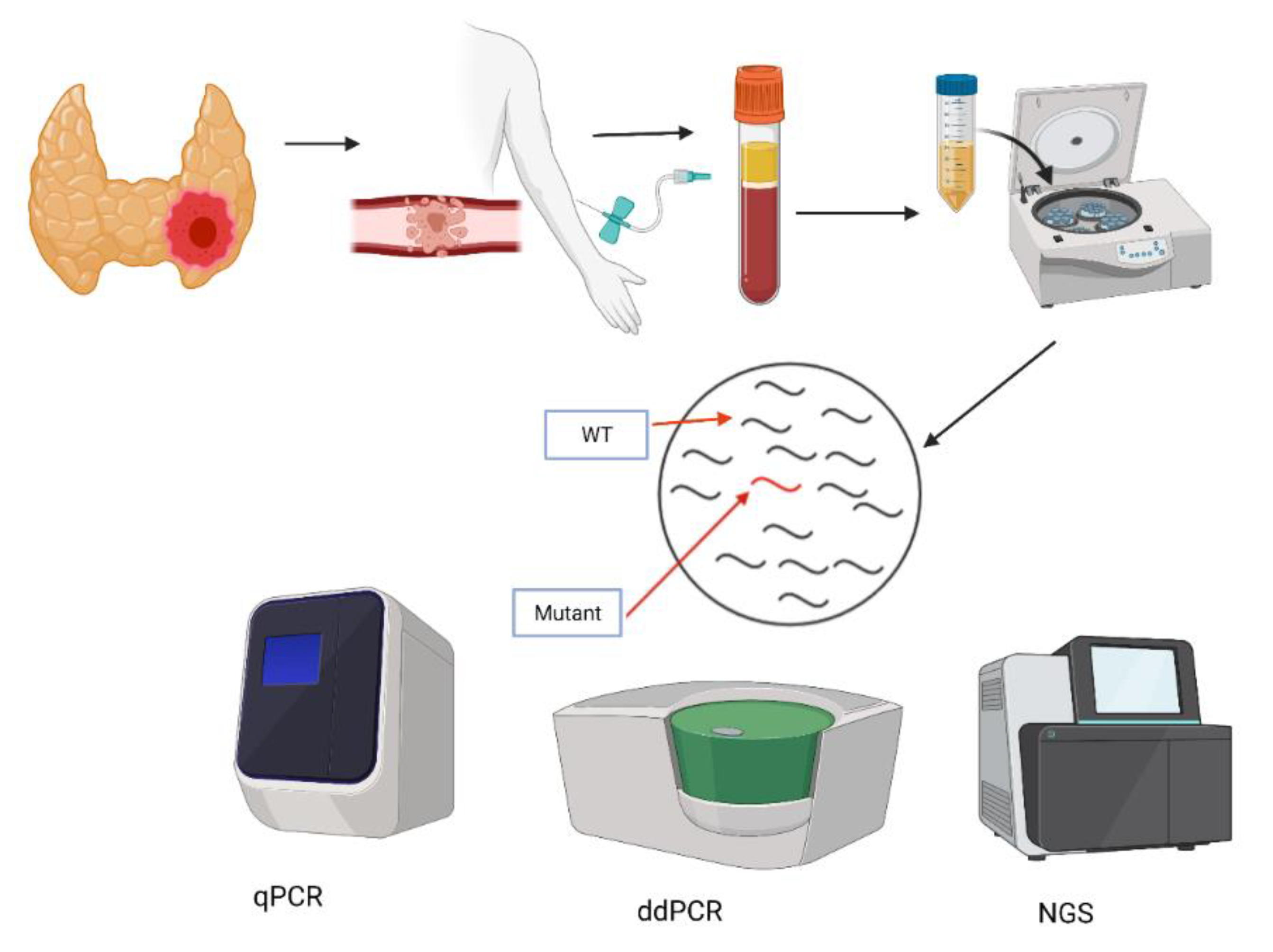 Biorender. Liquid biopsy.