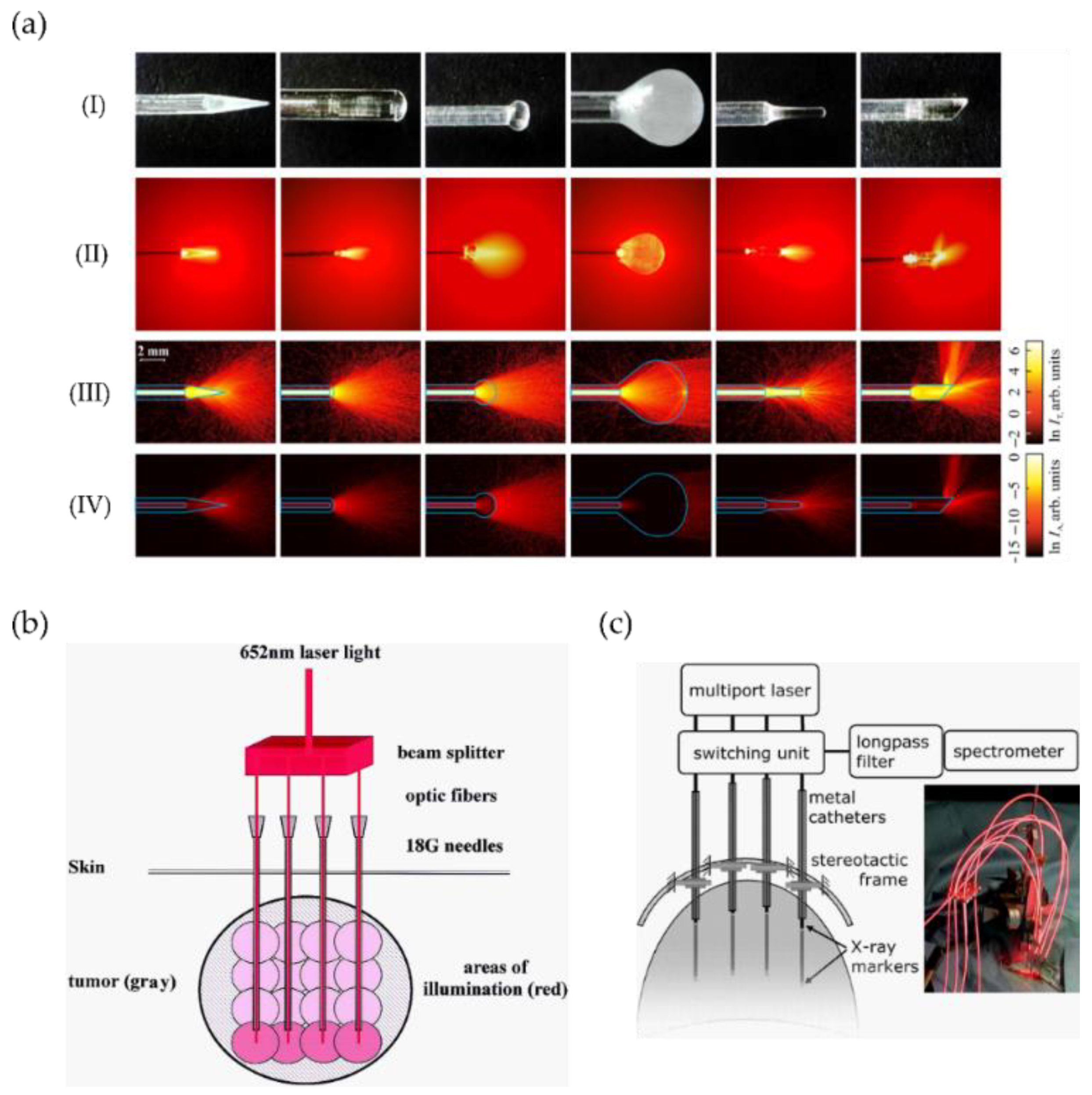 Cancers 13 03484 g006