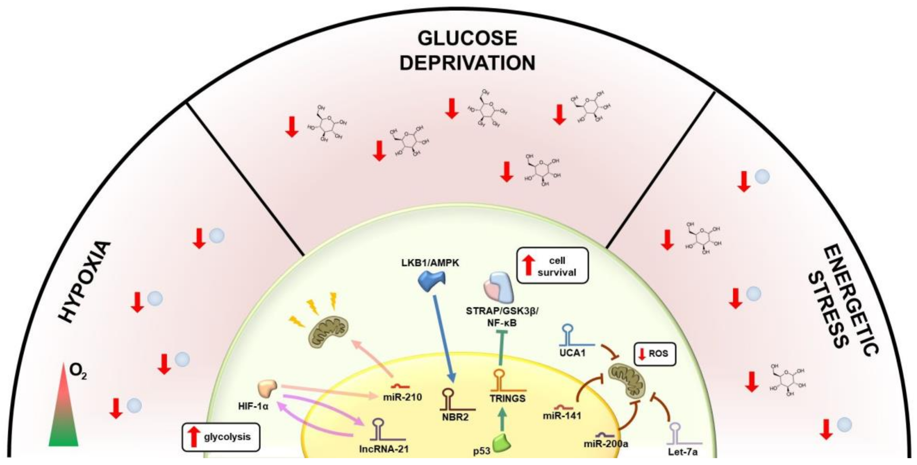 Cancers 13 03485 g001
