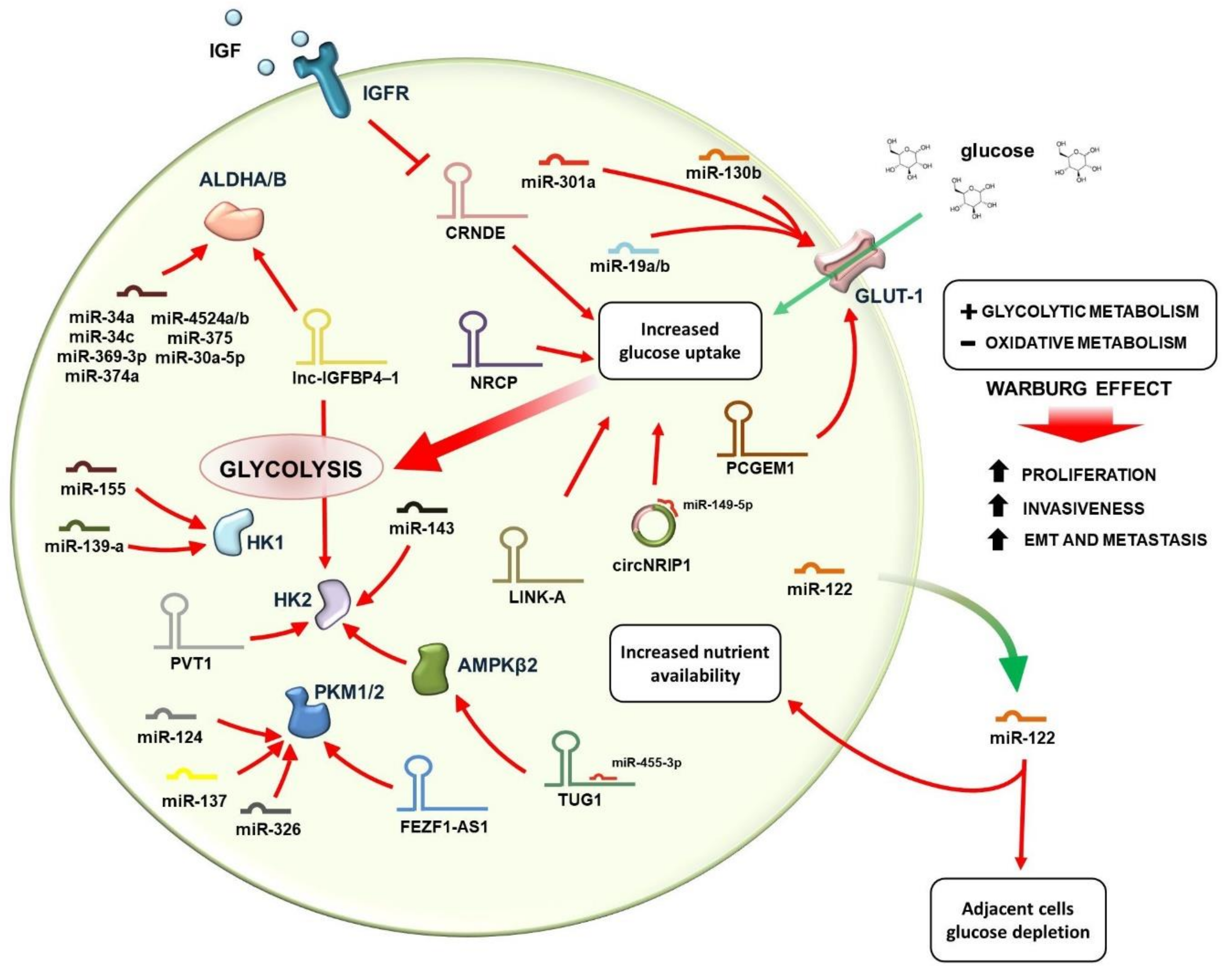 Cancers 13 03485 g002