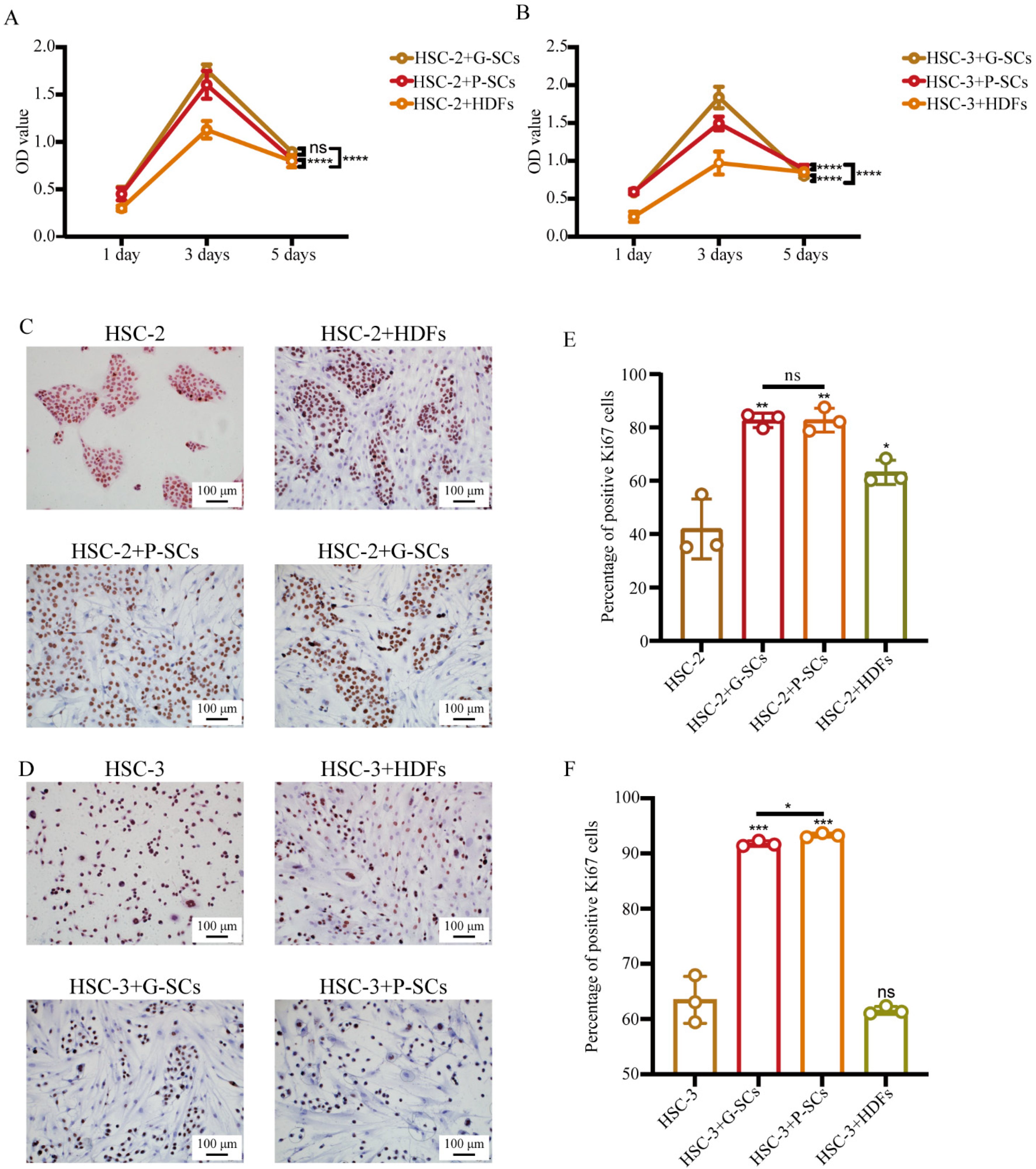 Cancers 13 03491 g003