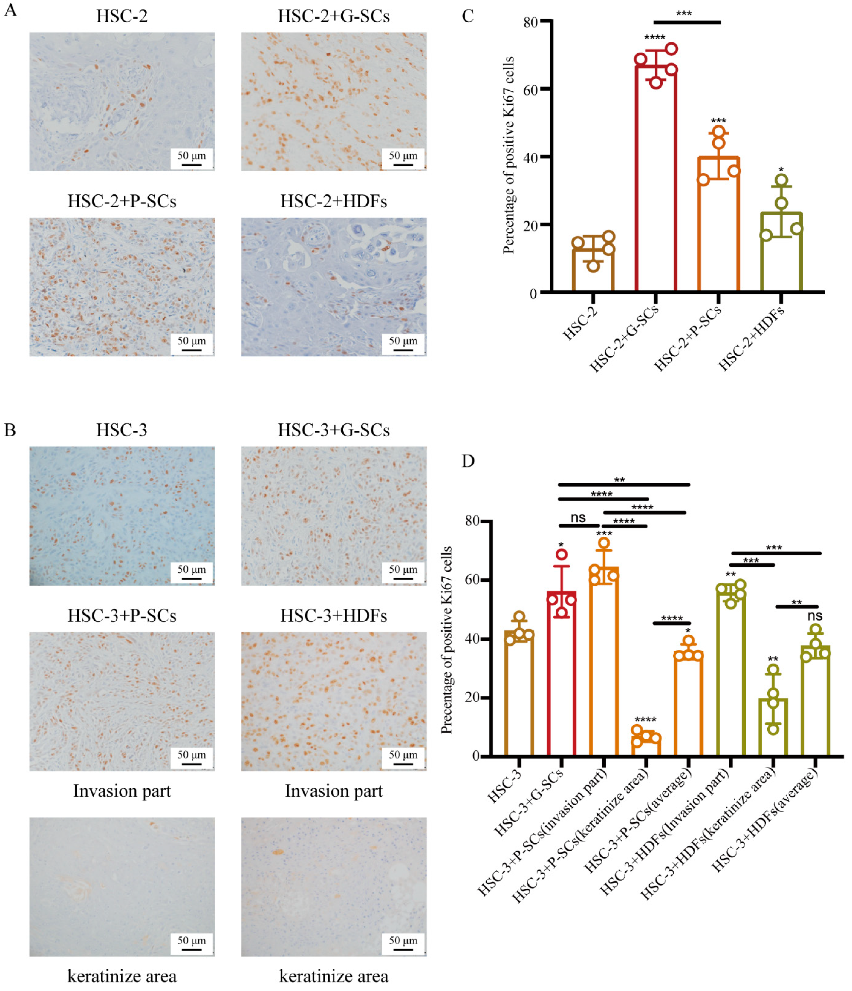 Cancers 13 03491 g007