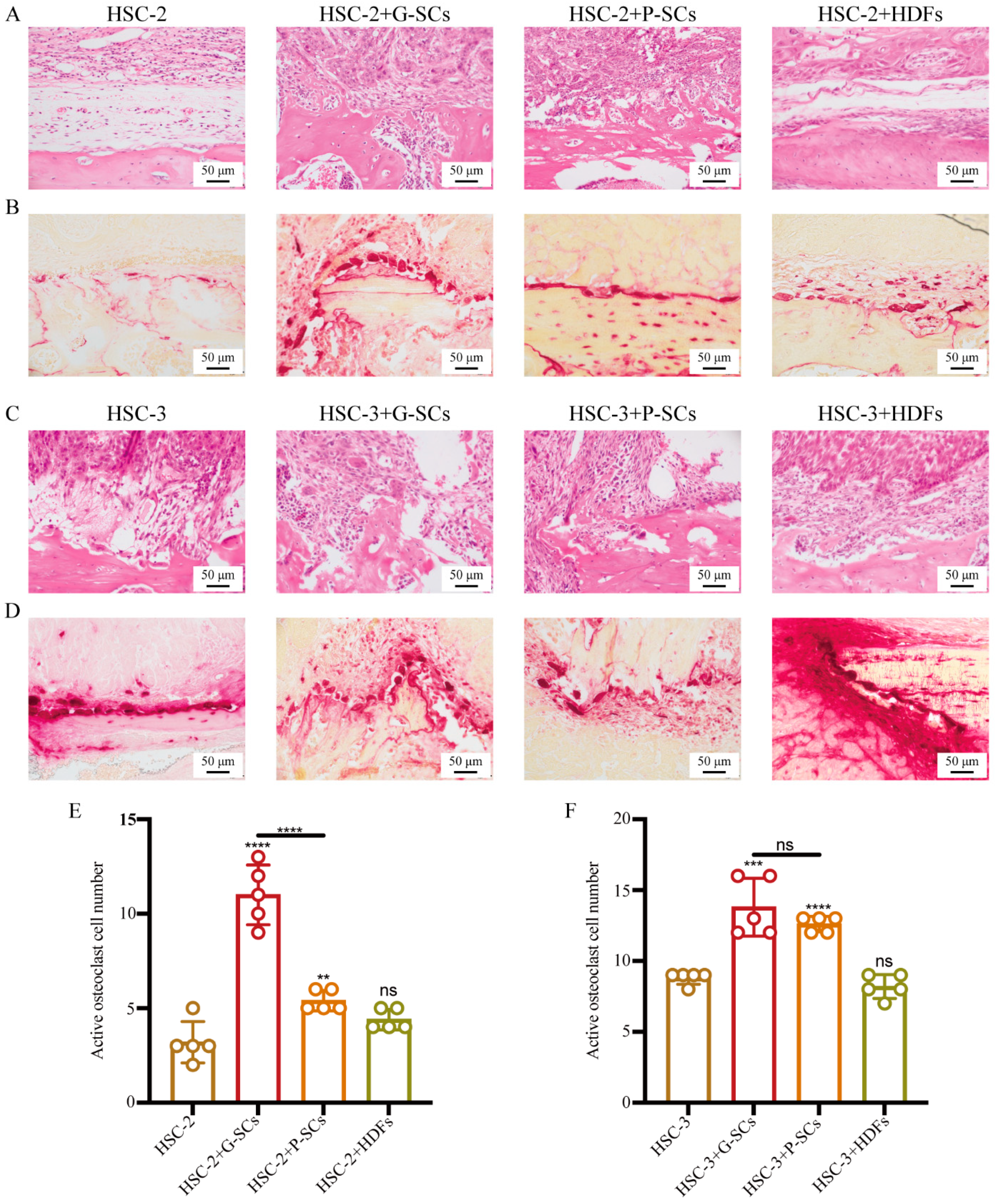 Cancers 13 03491 g008