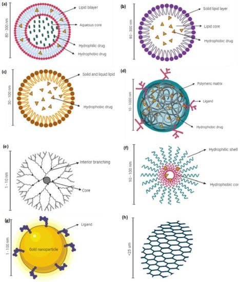 Cancers Free Full Text Advanced Nanoparticle Based Drug Delivery Systems And Their Cellular Evaluation For Non Small Cell Lung Cancer Treatment Html