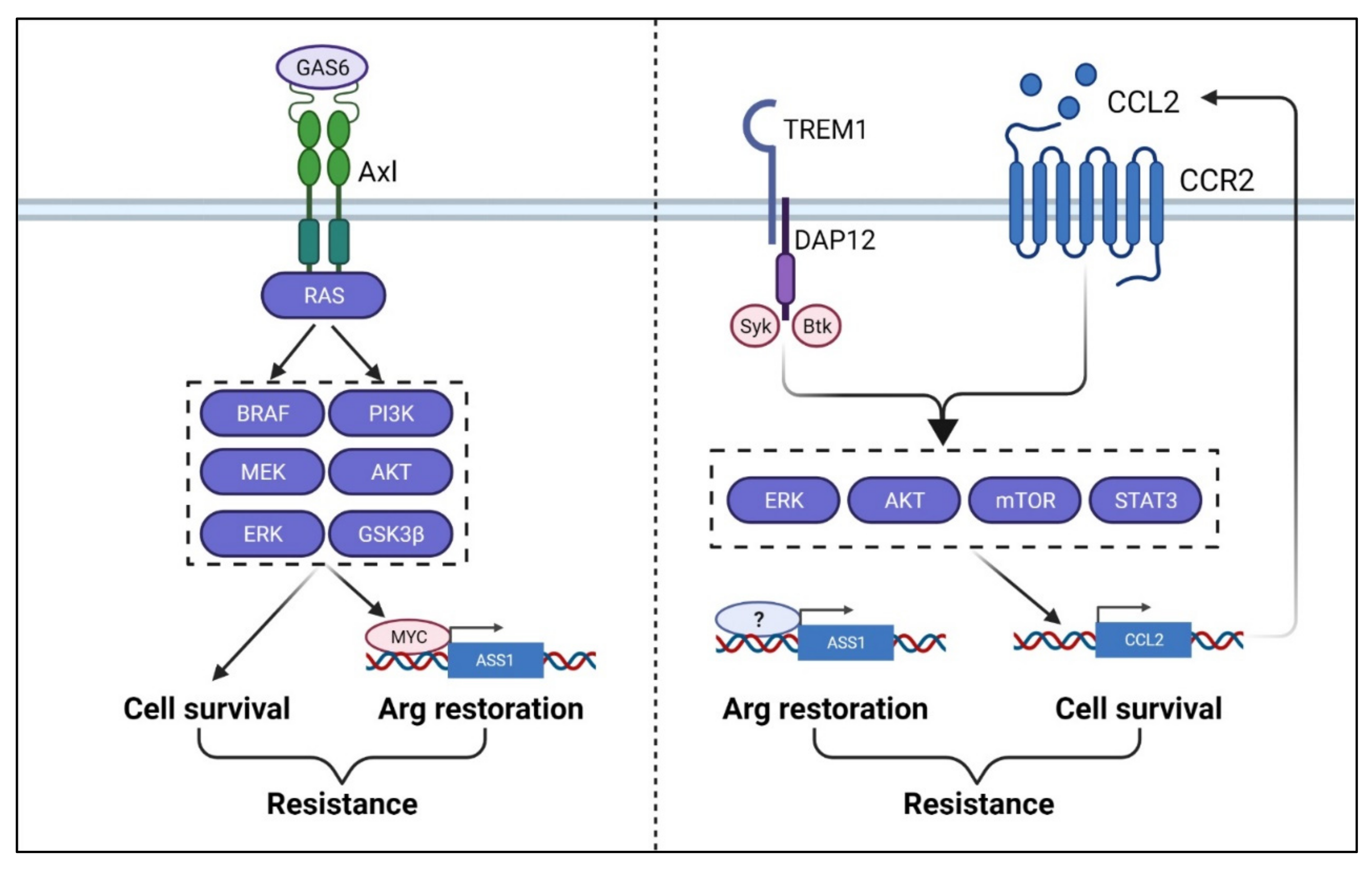 Cancers 13 03541 g006