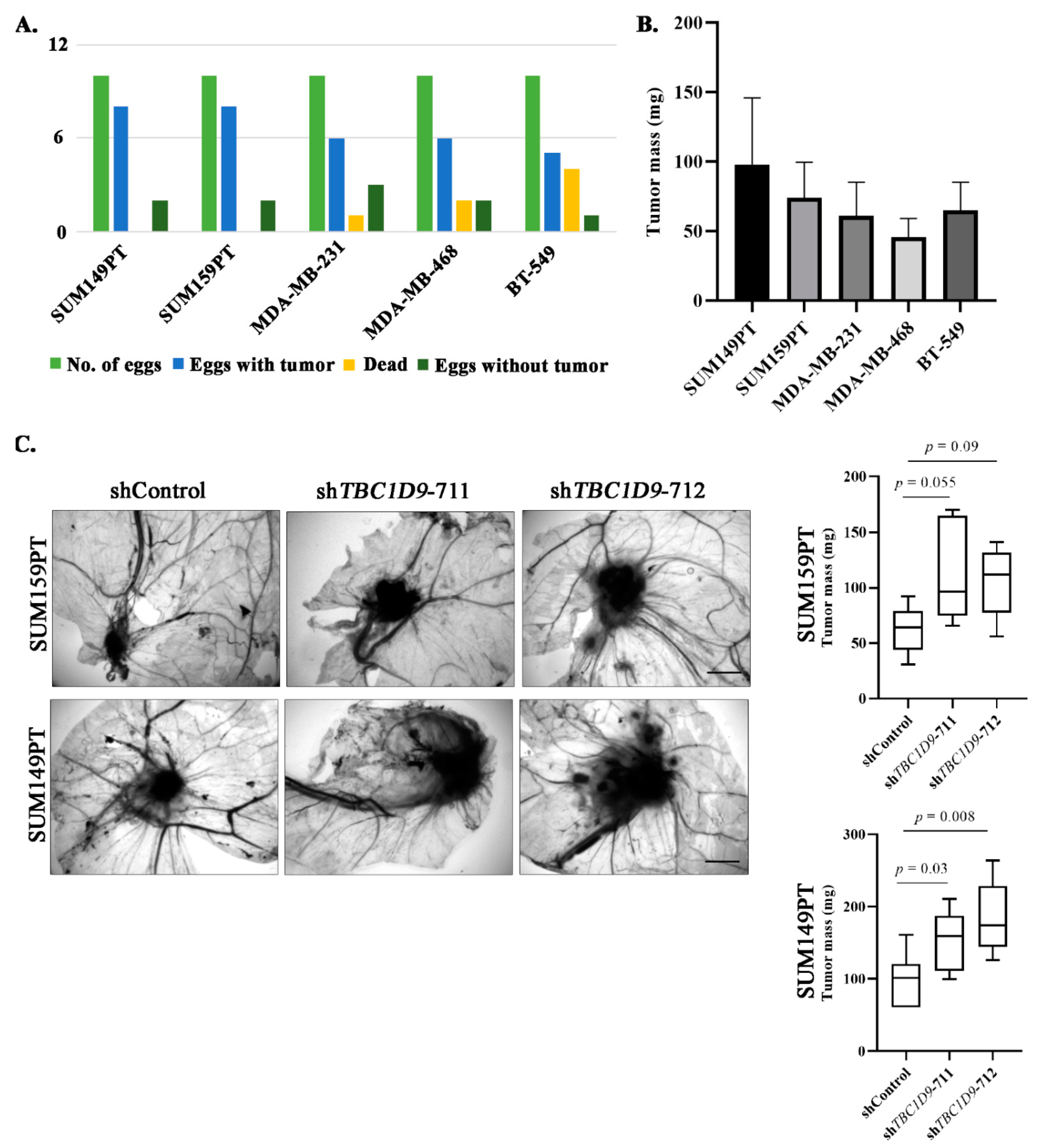 Cancers 13 03557 g004