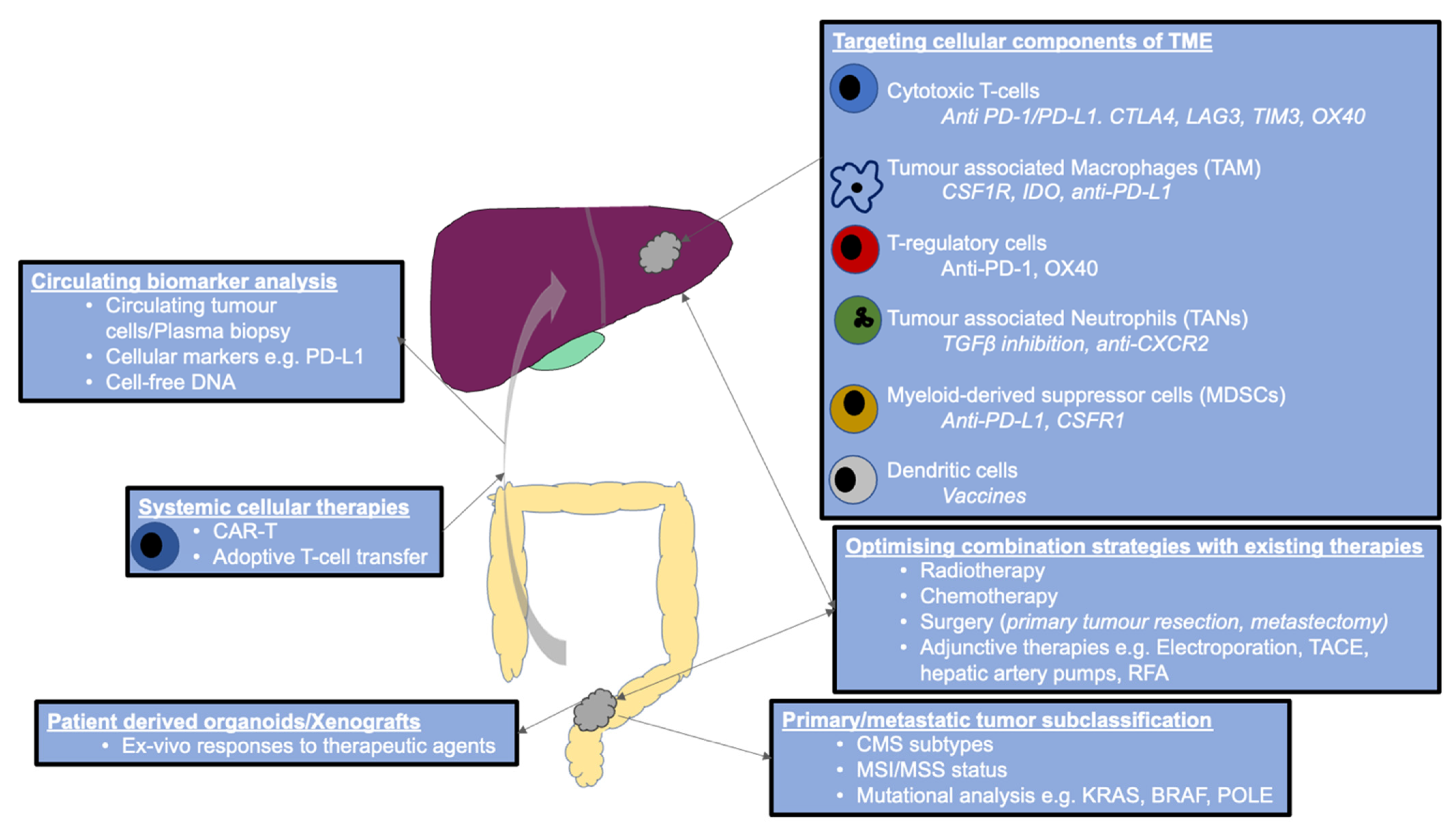 Cancers 13 03566 g002