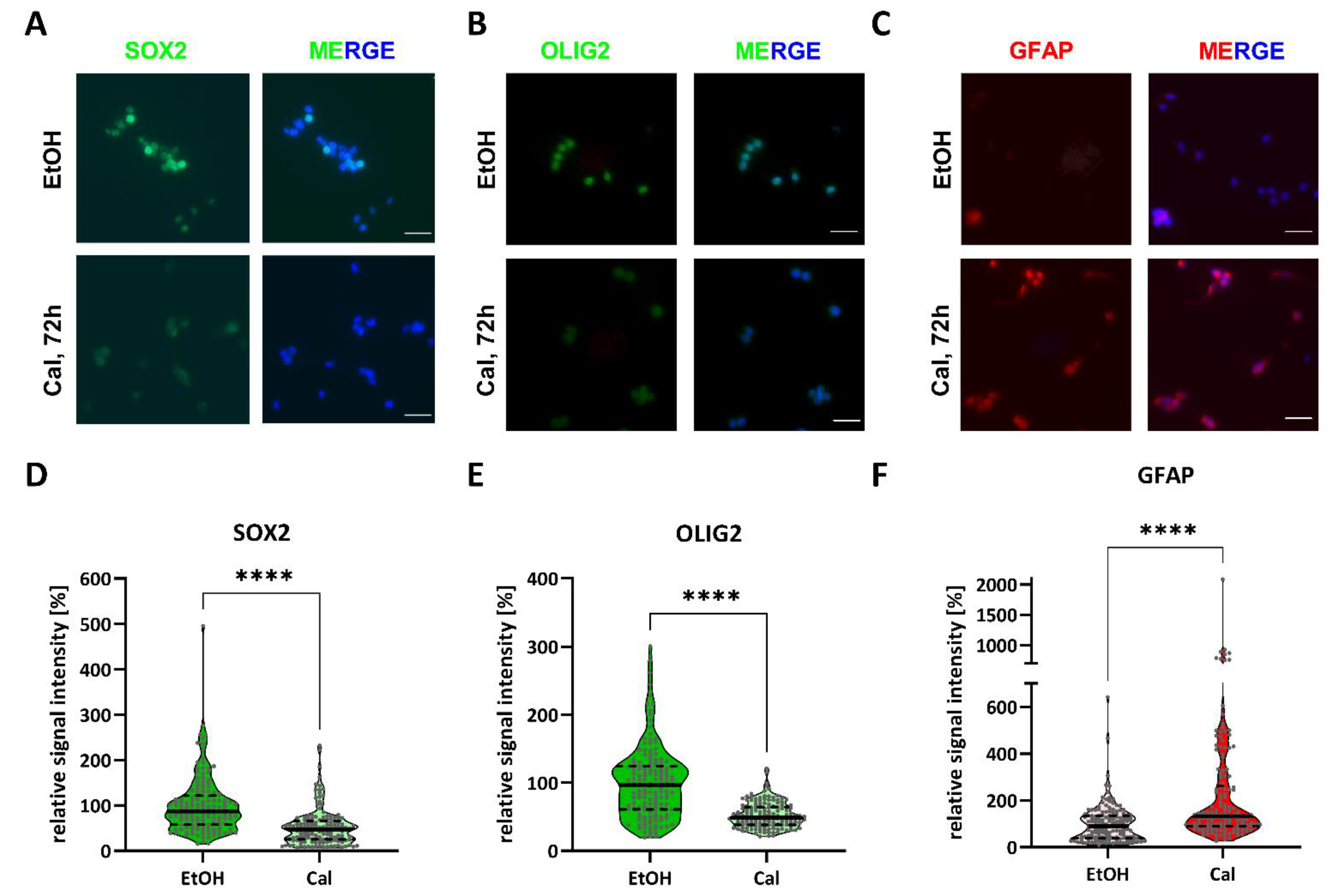 Cancers 13 03577 g006 Cancers 13 03577 g006