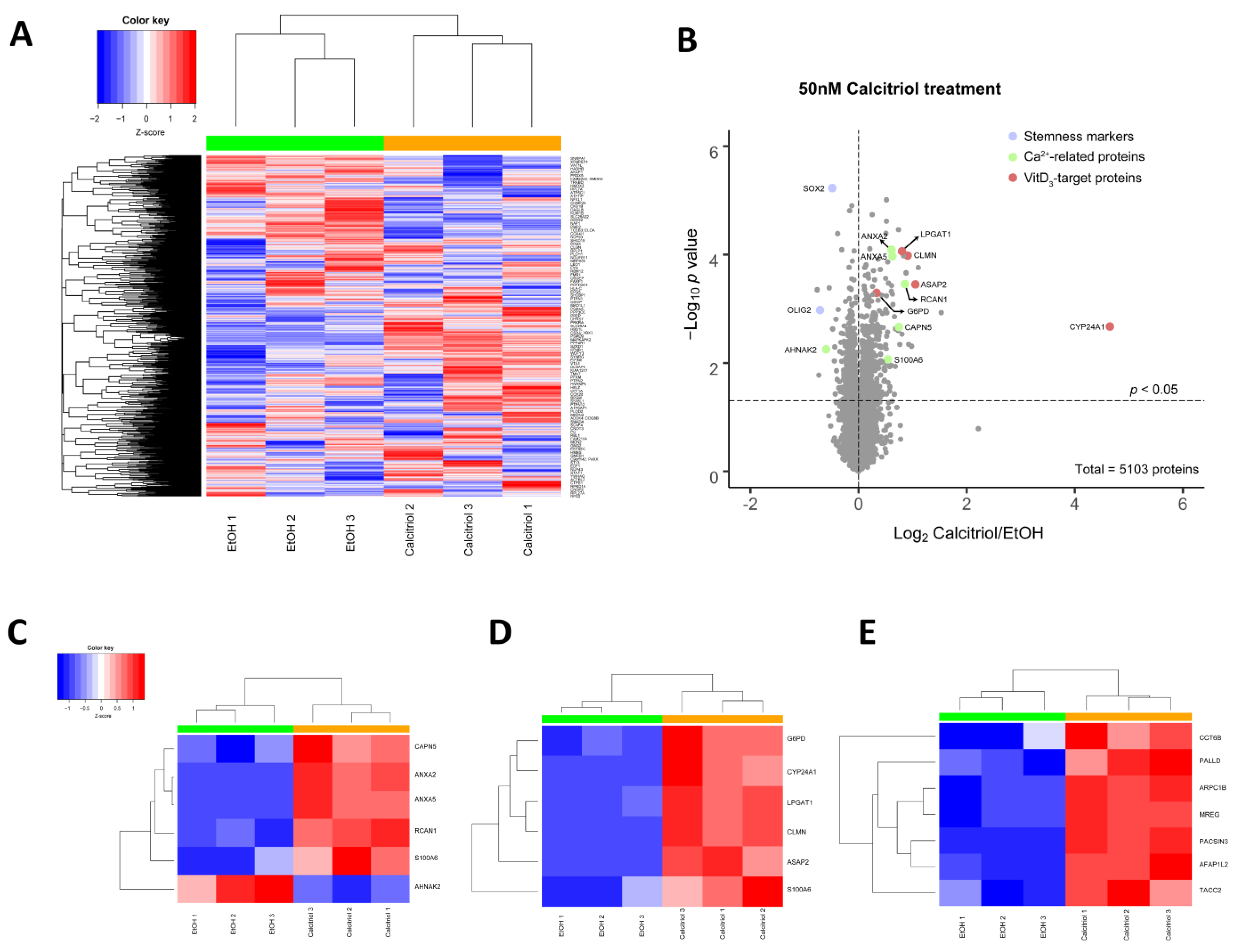 Cancers 13 03577 g007 Cancers 13 03577 g007