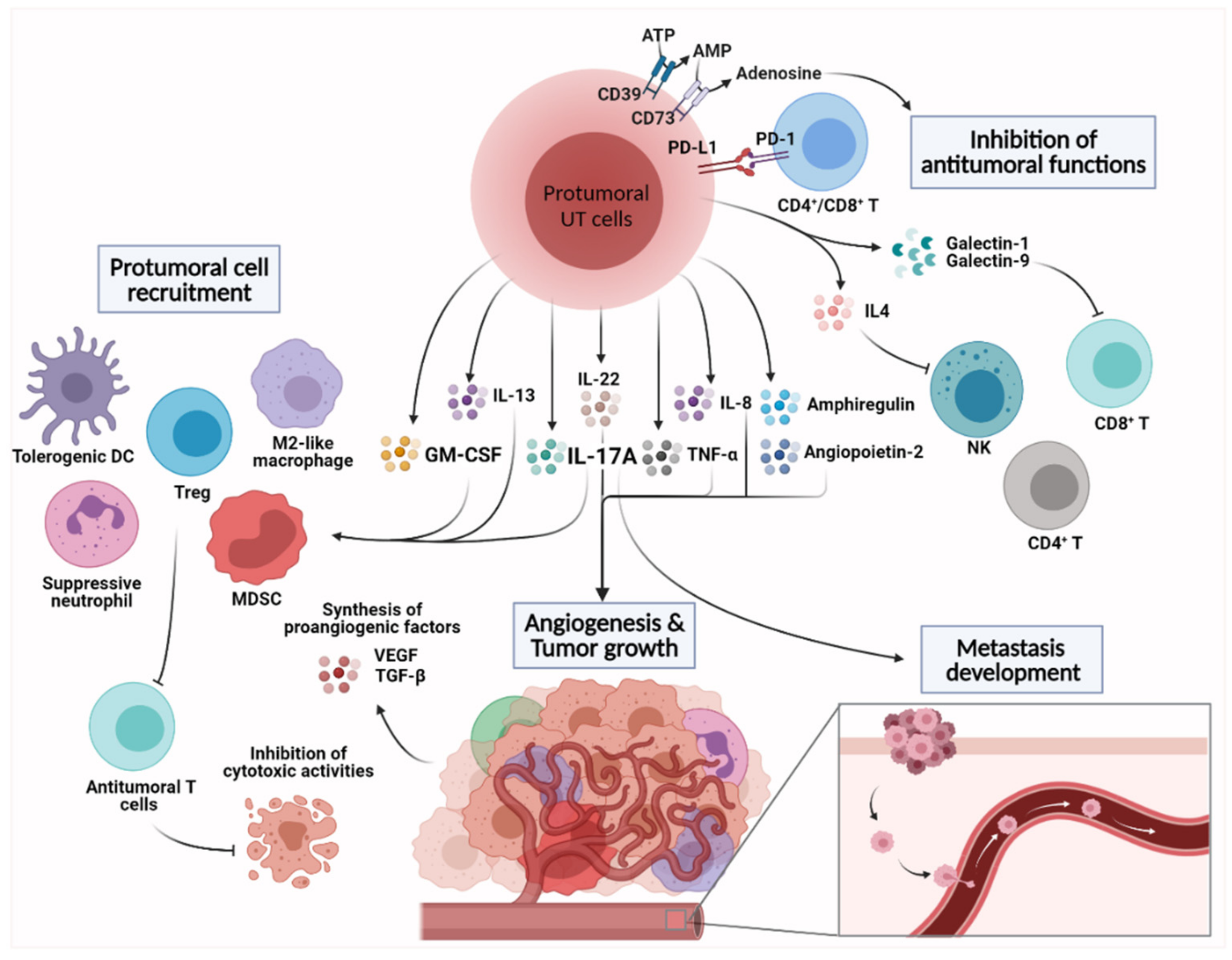 Cancers 13 03578 g003