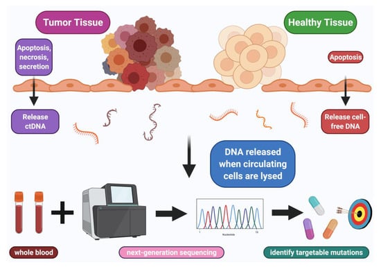 Can Blood Work Detect Cancer?, Moffitt