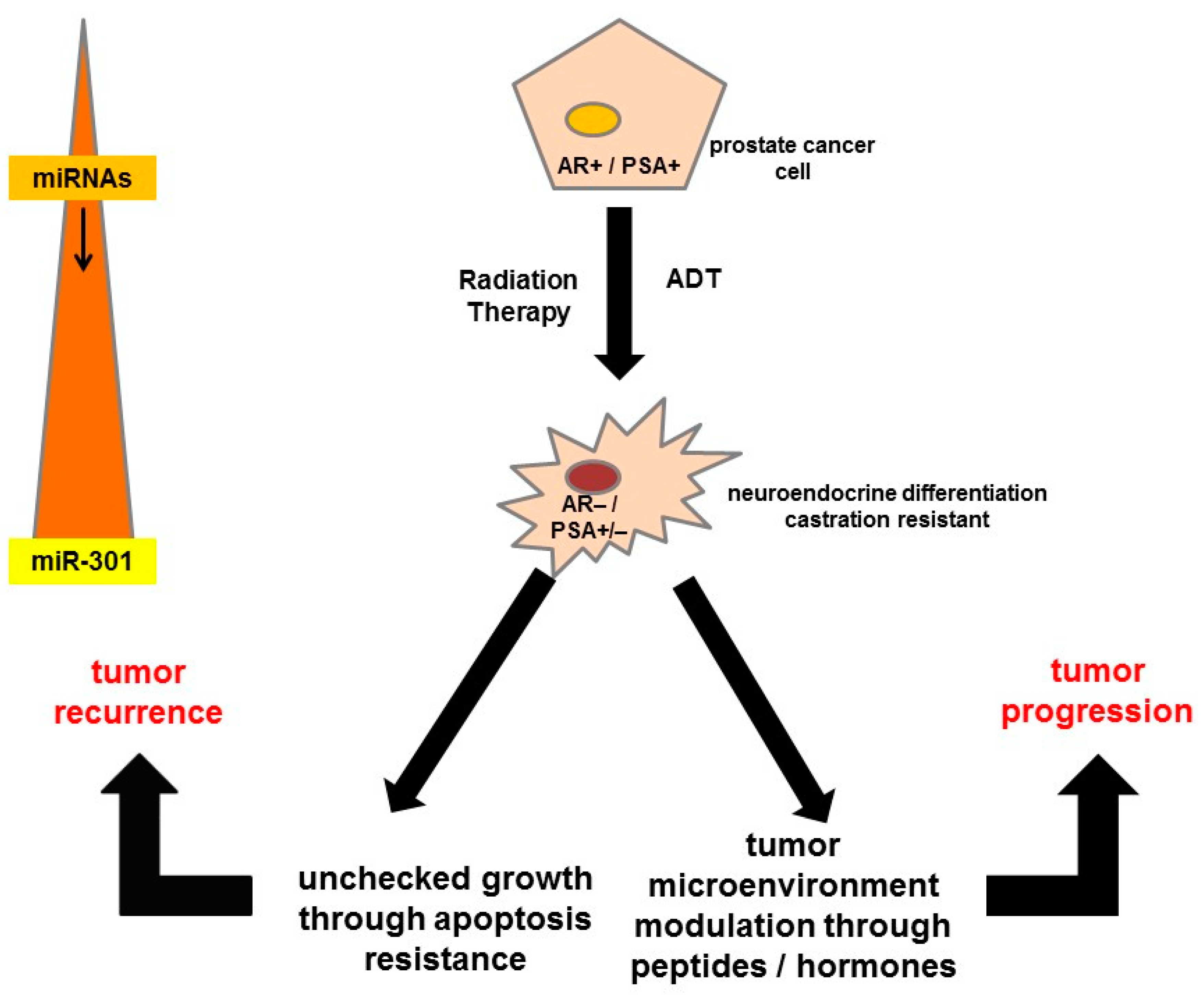 Cancers Free Full Text Target Heterogeneity In Oncology The Best Predictor For Differential Response To Radioligand Therapy In Neuroendocrine Tumors And Prostate Cancer Html