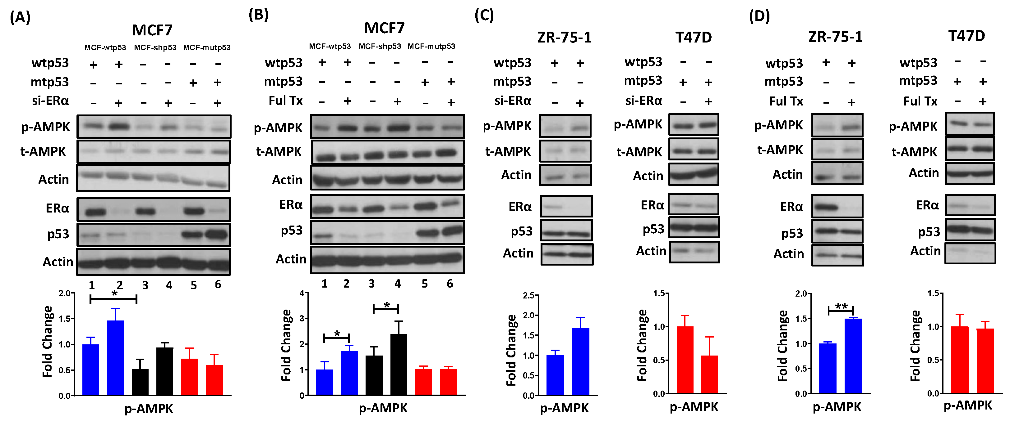 Cancers 13 03612 g001 Cancers 13 03612 g001
