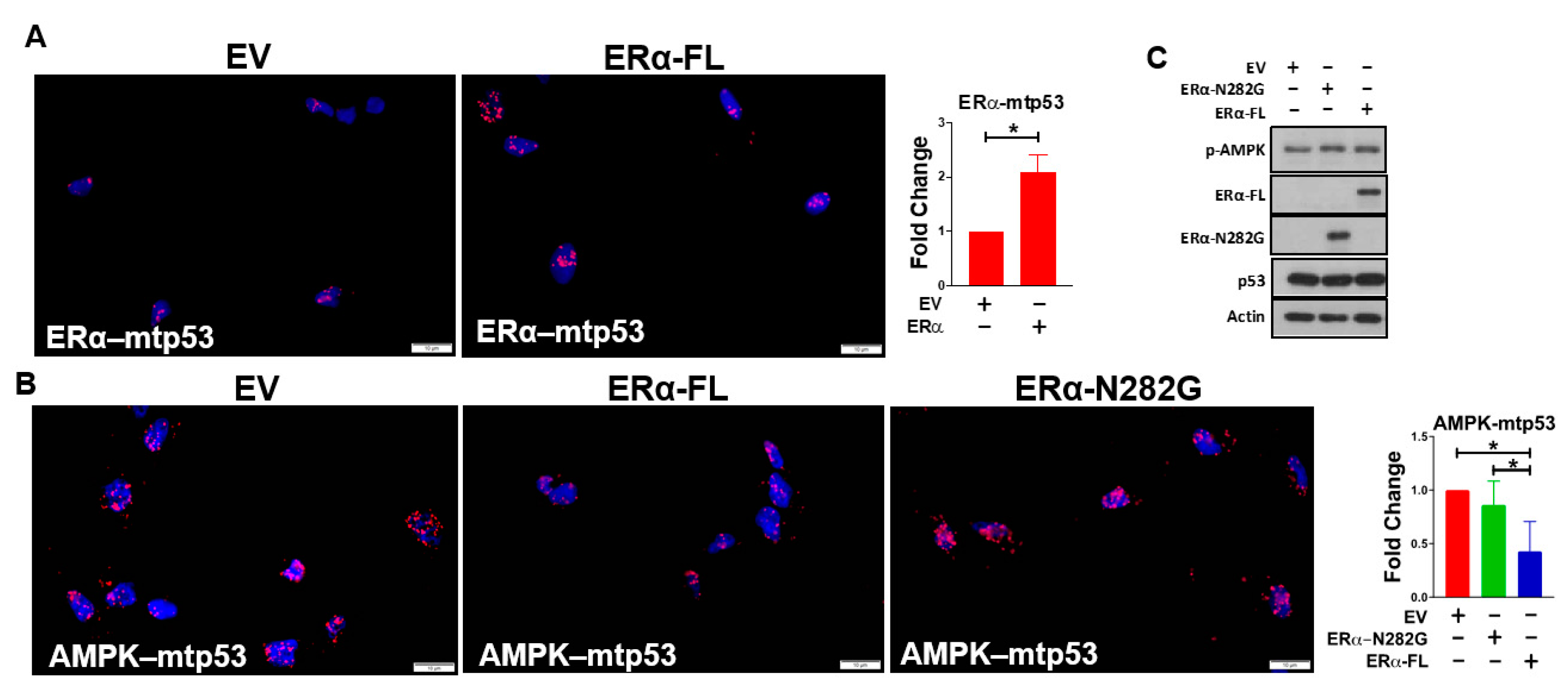 Cancers 13 03612 g002 Cancers 13 03612 g002