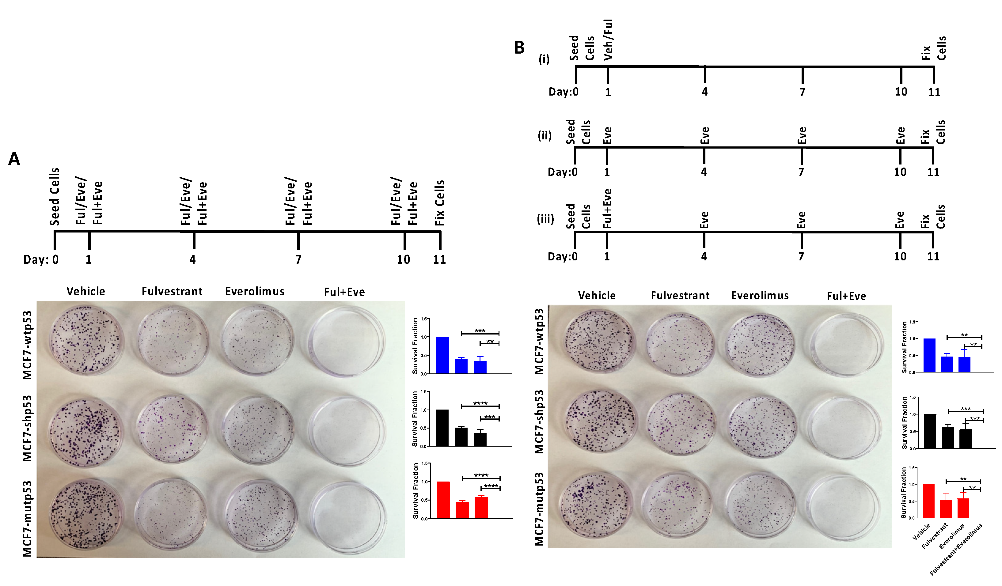Cancers 13 03612 g004 Cancers 13 03612 g004
