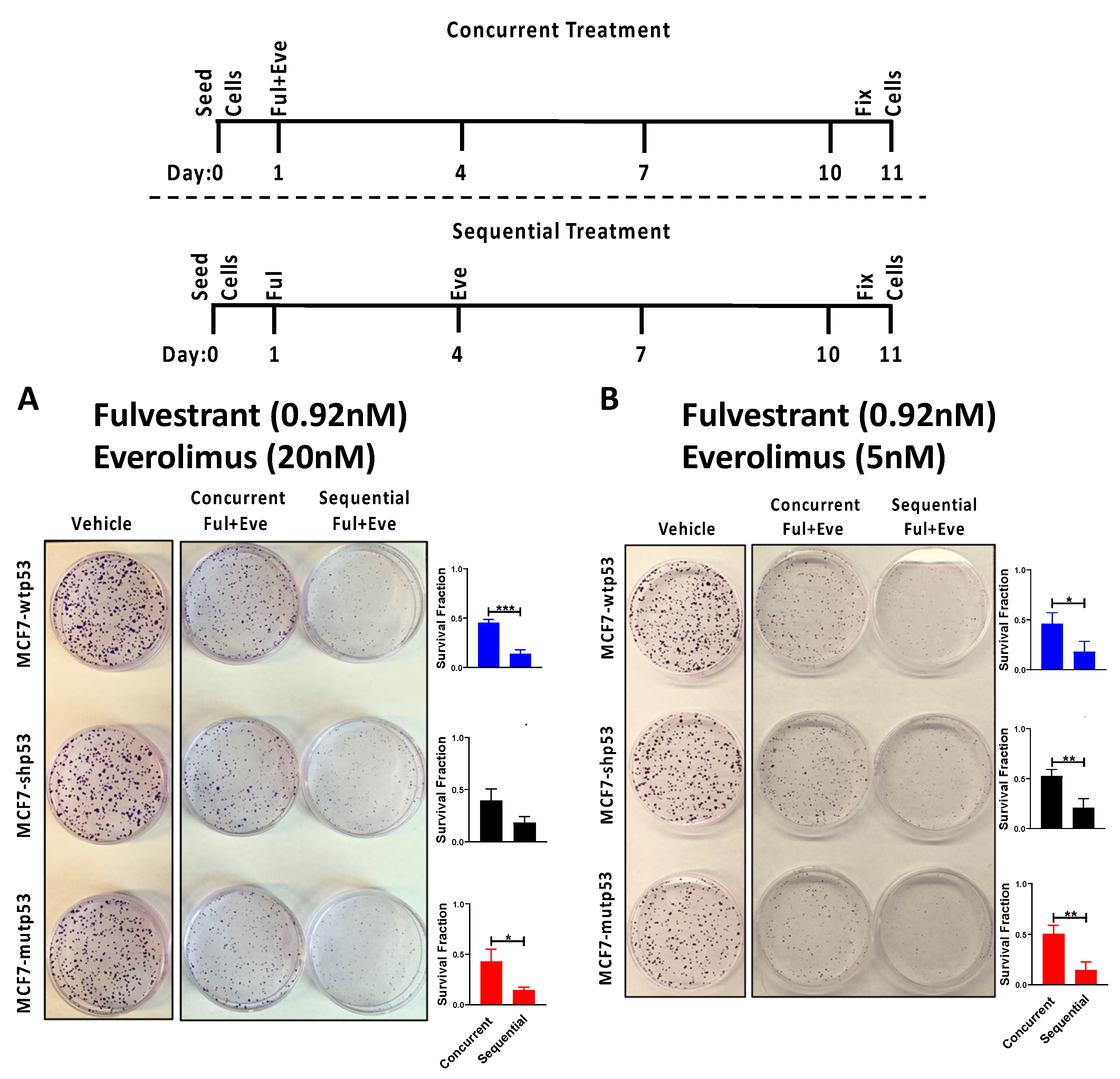 Cancers 13 03612 g005 Cancers 13 03612 g005