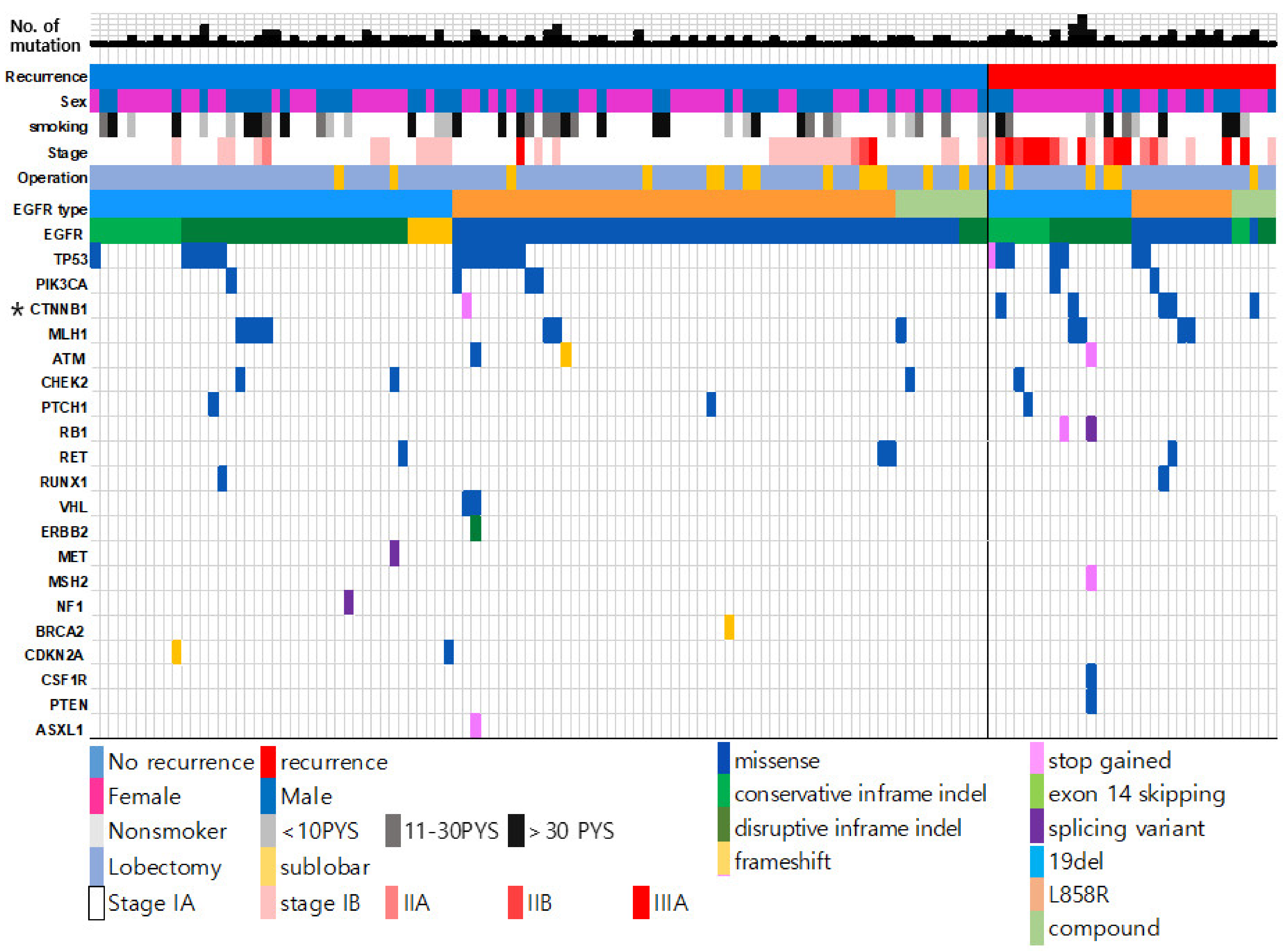 Cancers | Free Full-Text | Targeted Next-Generation Sequencing Analysis  Predicts the Recurrence in Resected Lung Adenocarcinoma Harboring EGFR  Mutations