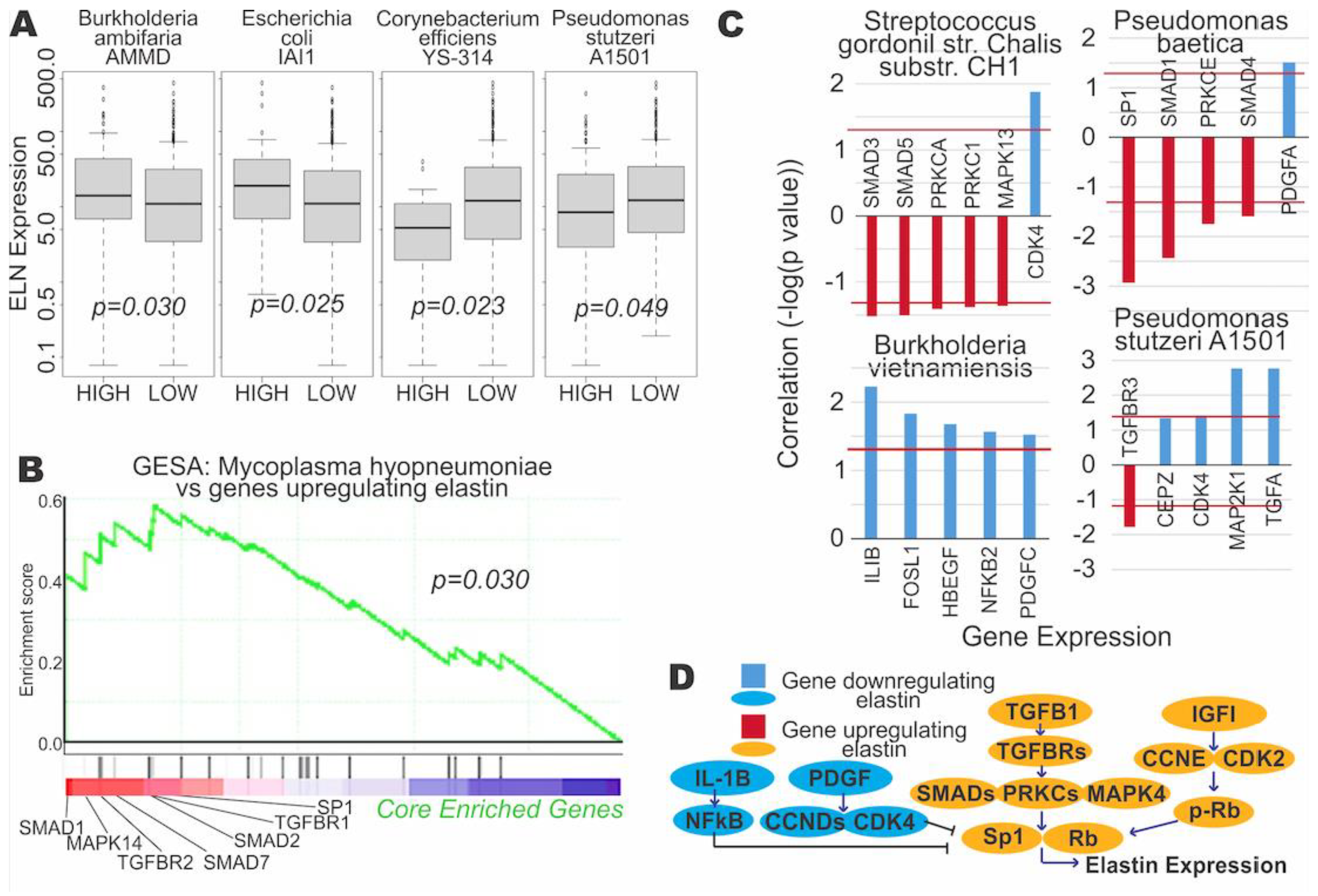 Cancers 13 03649 g004