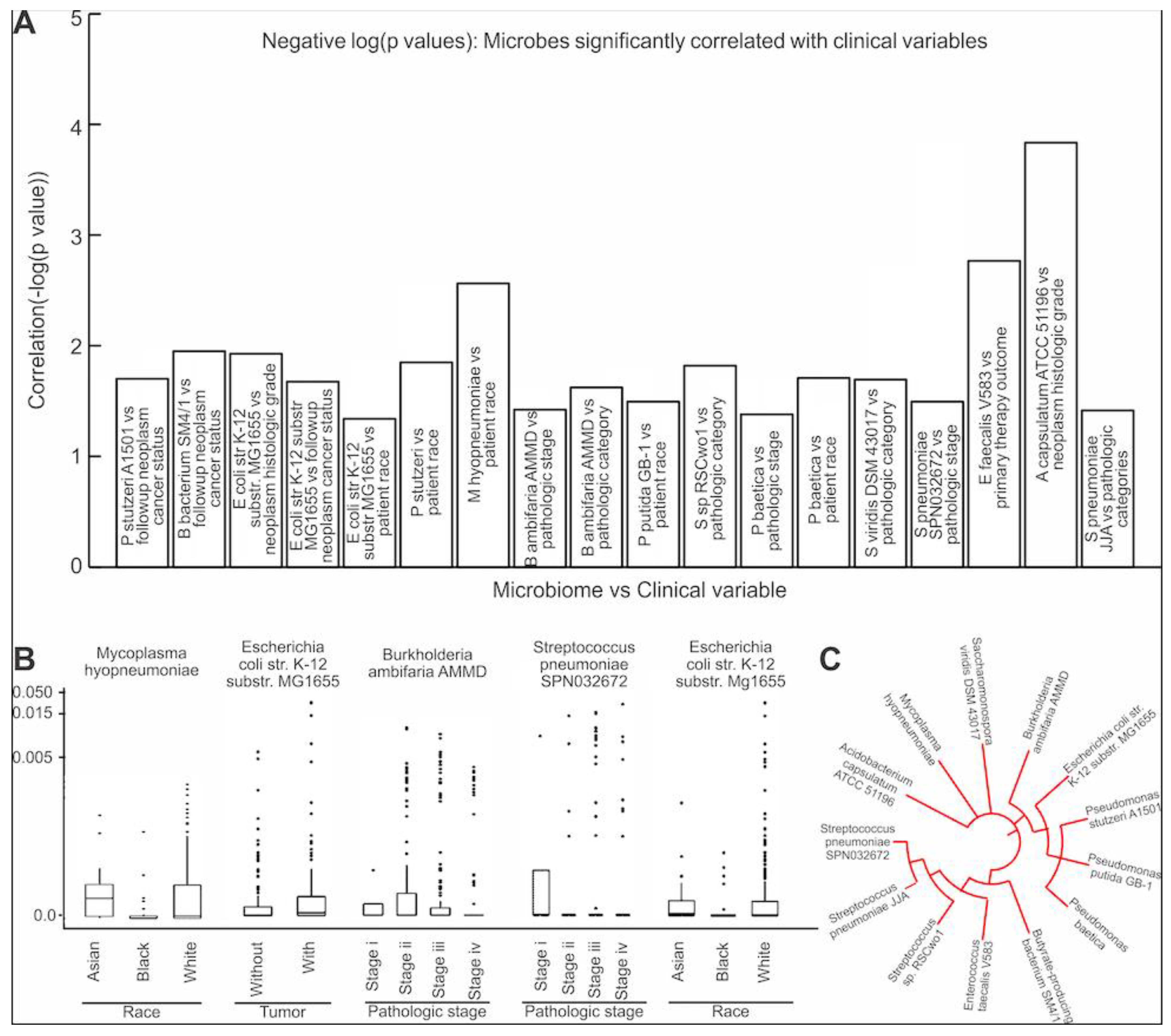 Cancers 13 03649 g005