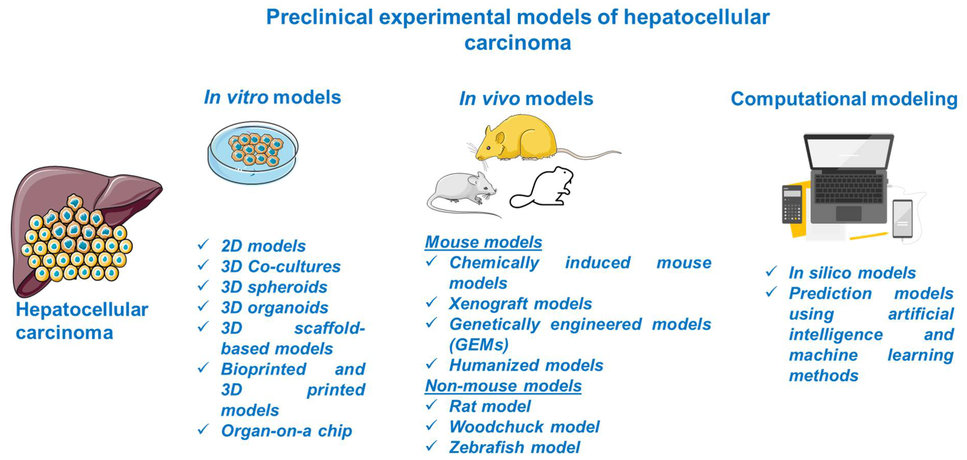 Cancers 13 03651 g002