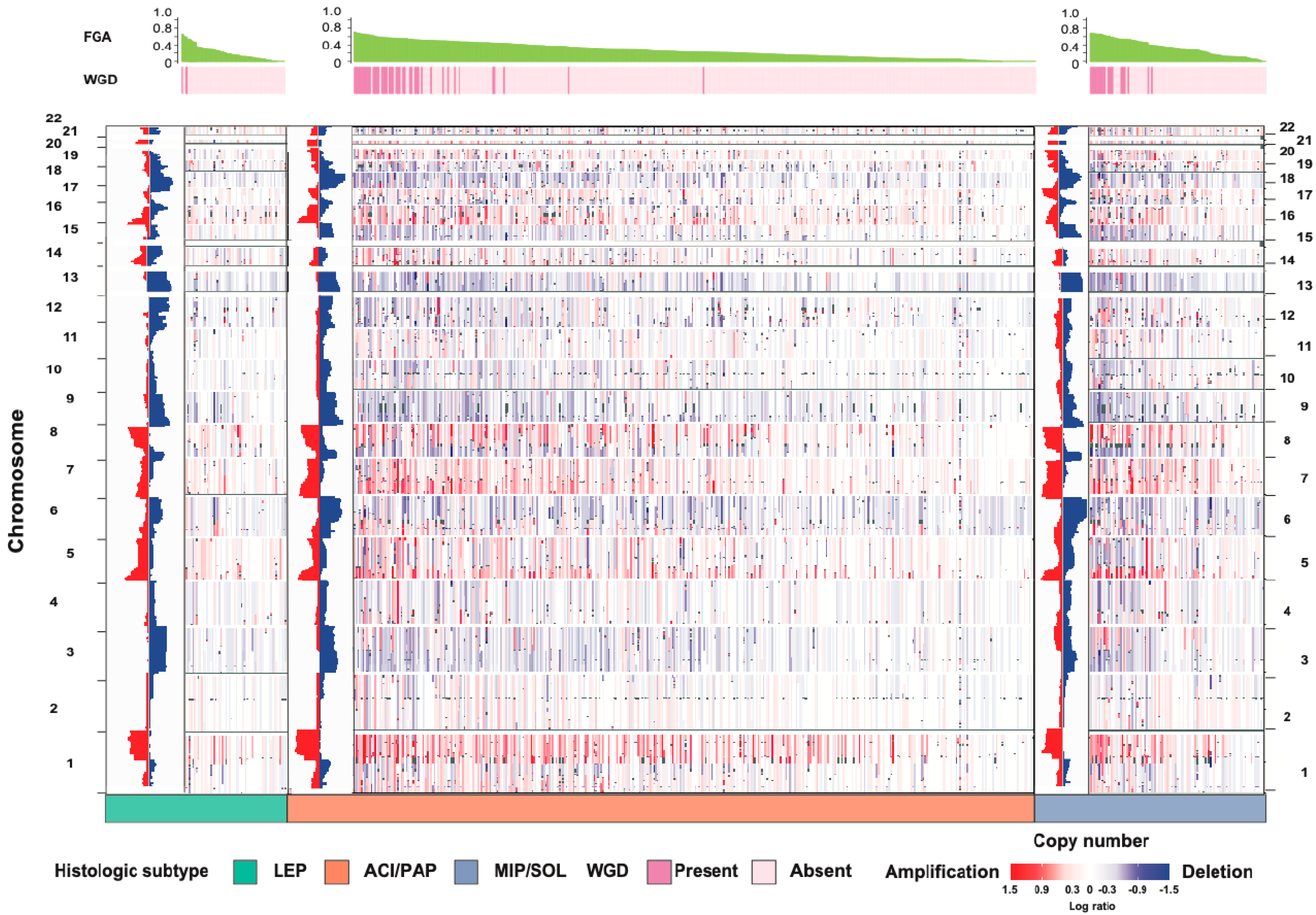 Cancers | Free Full-Text | The Emerging Importance of Tumor 