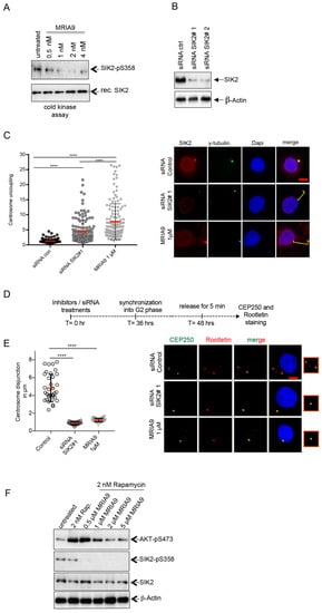 Cancers | Free Full-Text | The Small-Molecule Inhibitor MRIA9