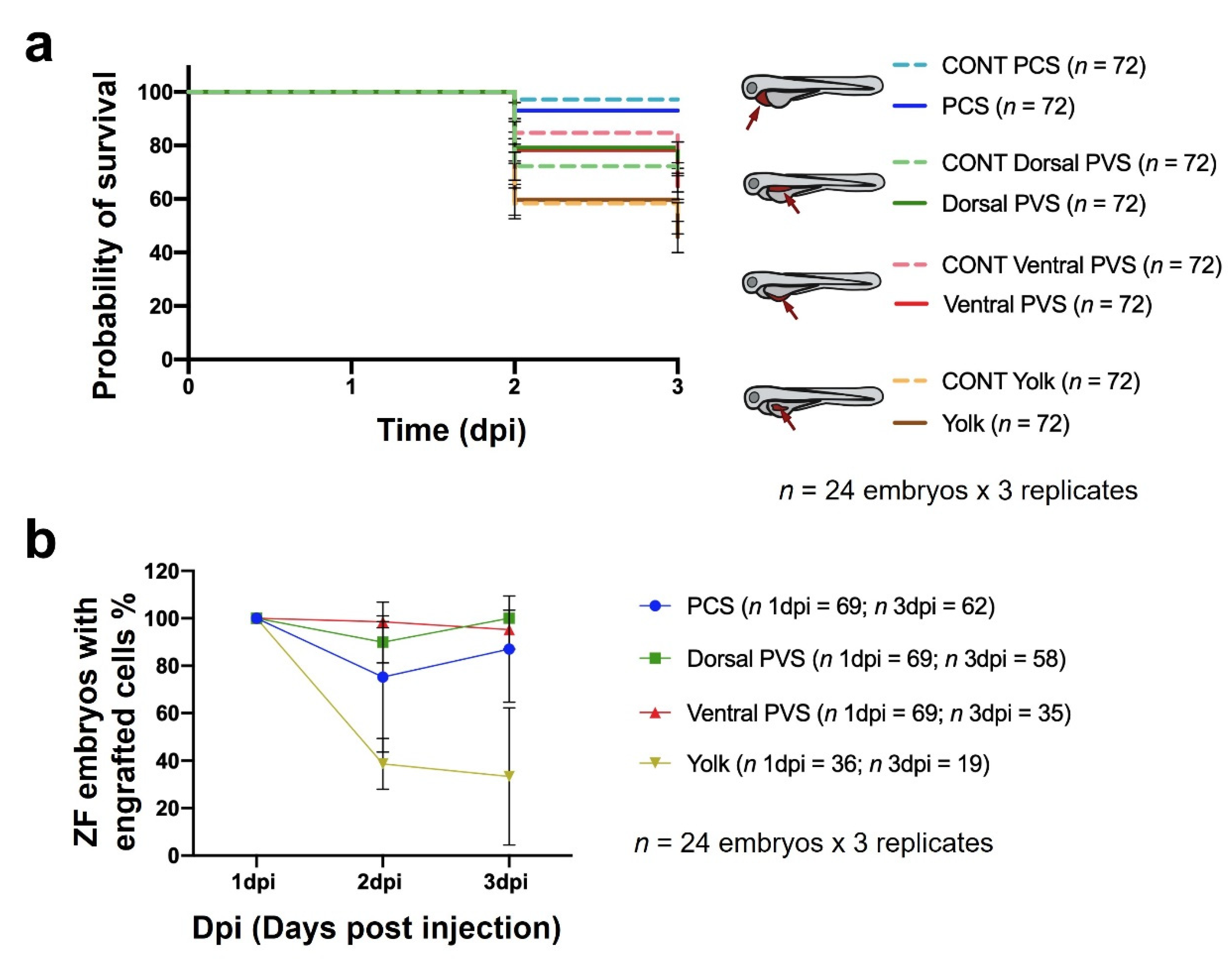 Cancers 13 03705 g002 Cancers 13 03705 g002