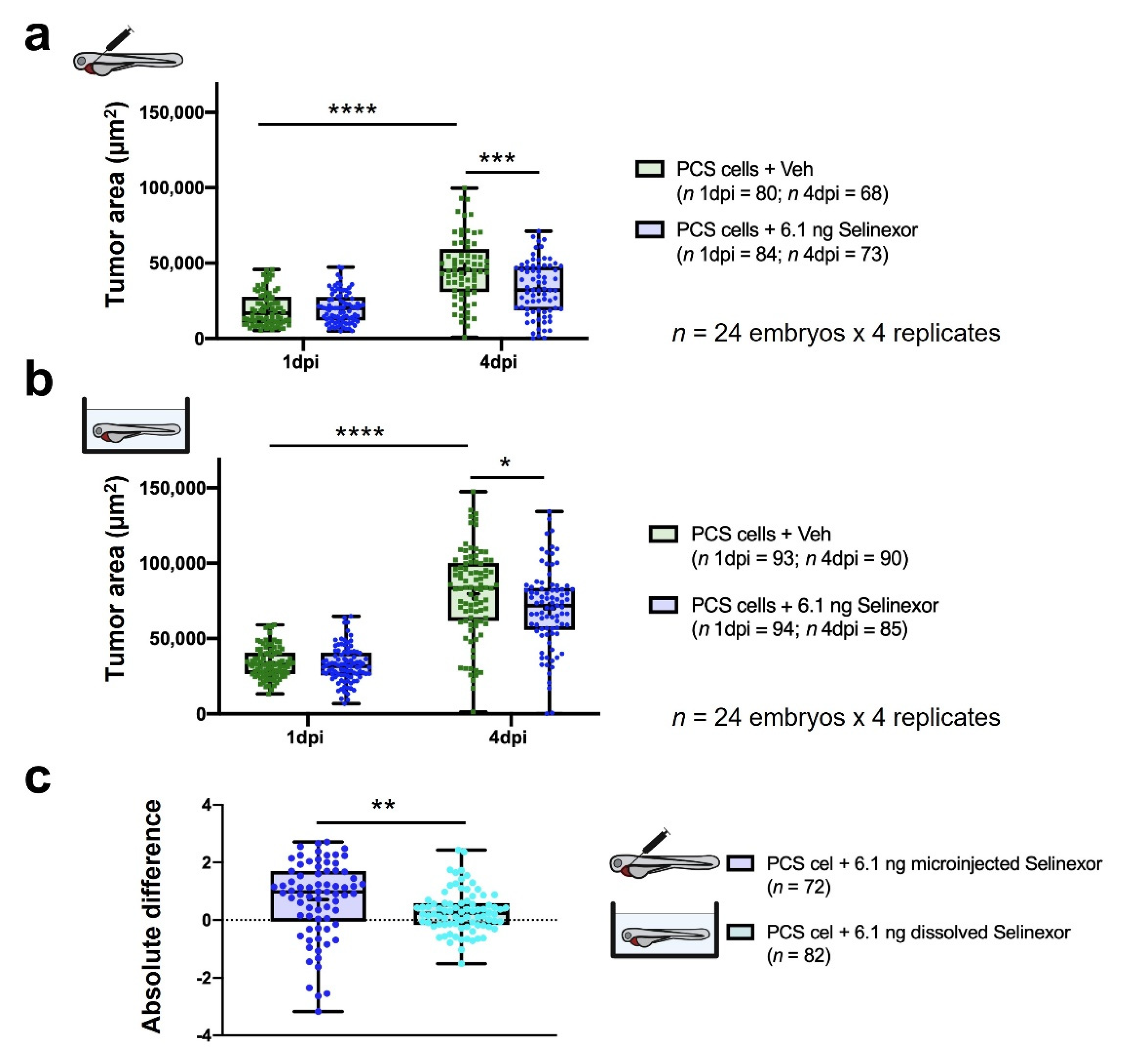 Cancers 13 03705 g007 Cancers 13 03705 g007