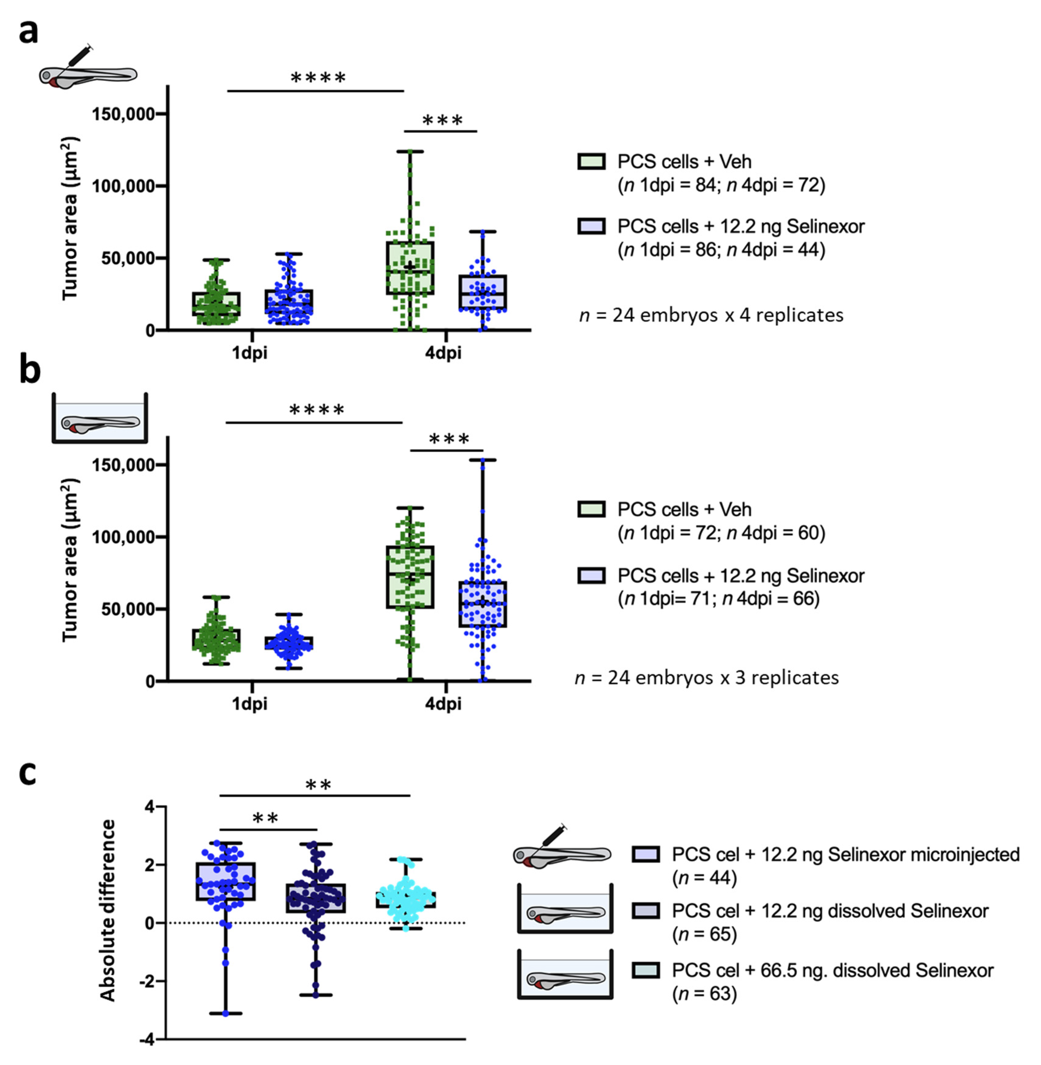 Cancers 13 03705 g009 Cancers 13 03705 g009